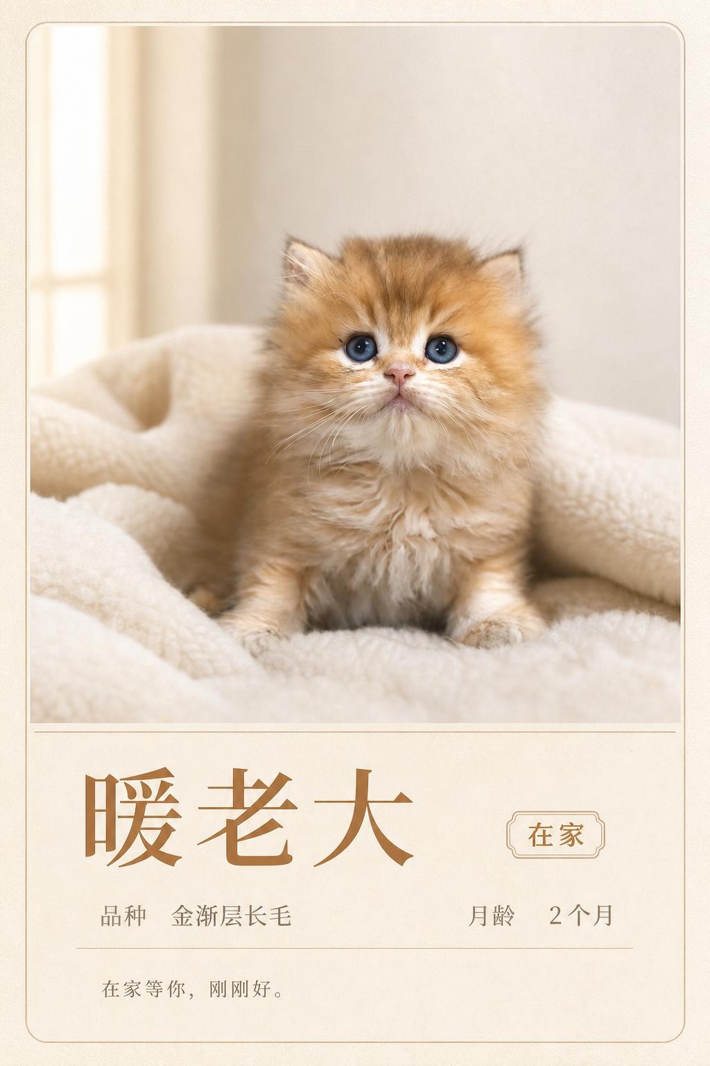 暖老大