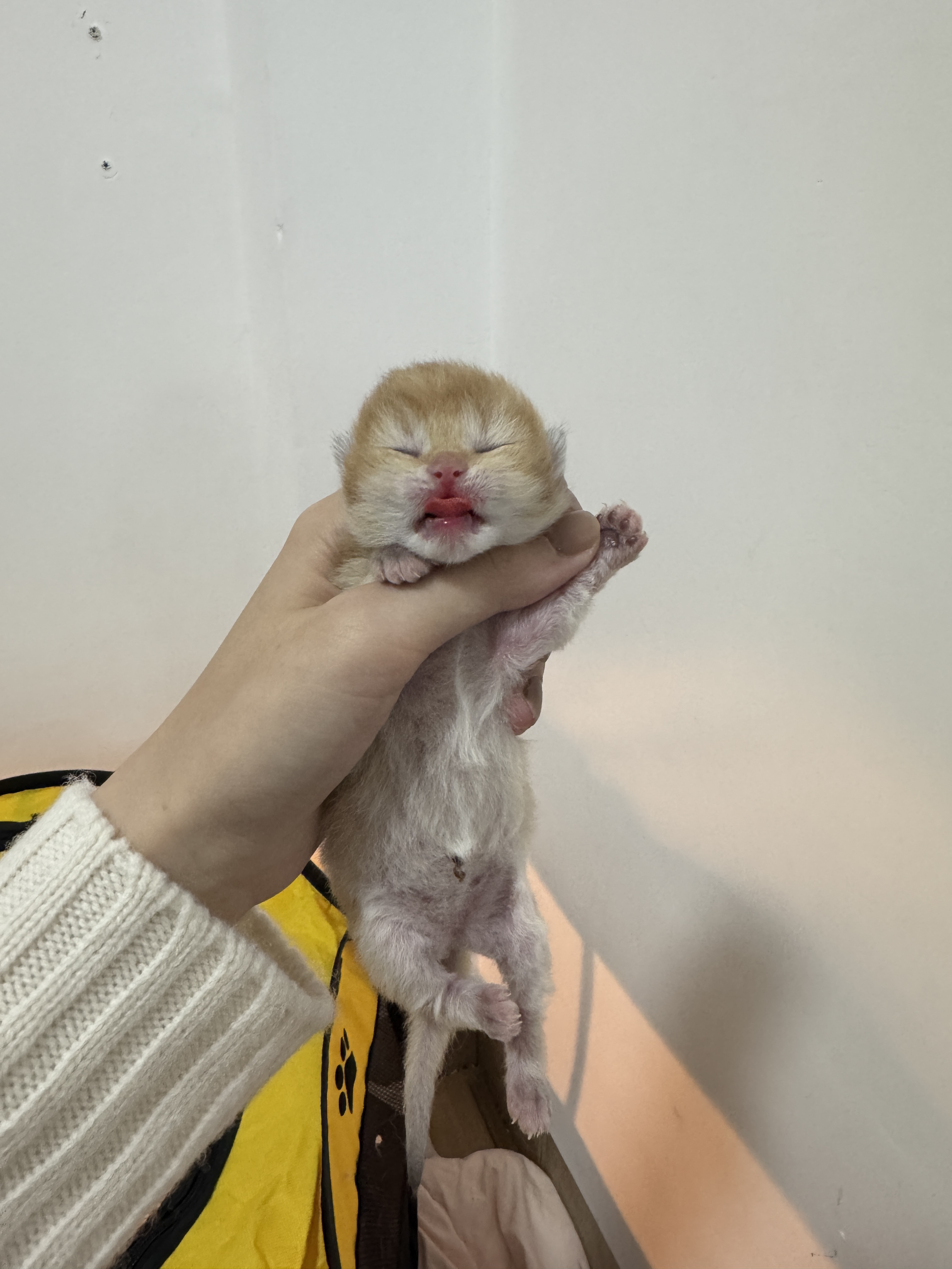 今日份更新来咯～