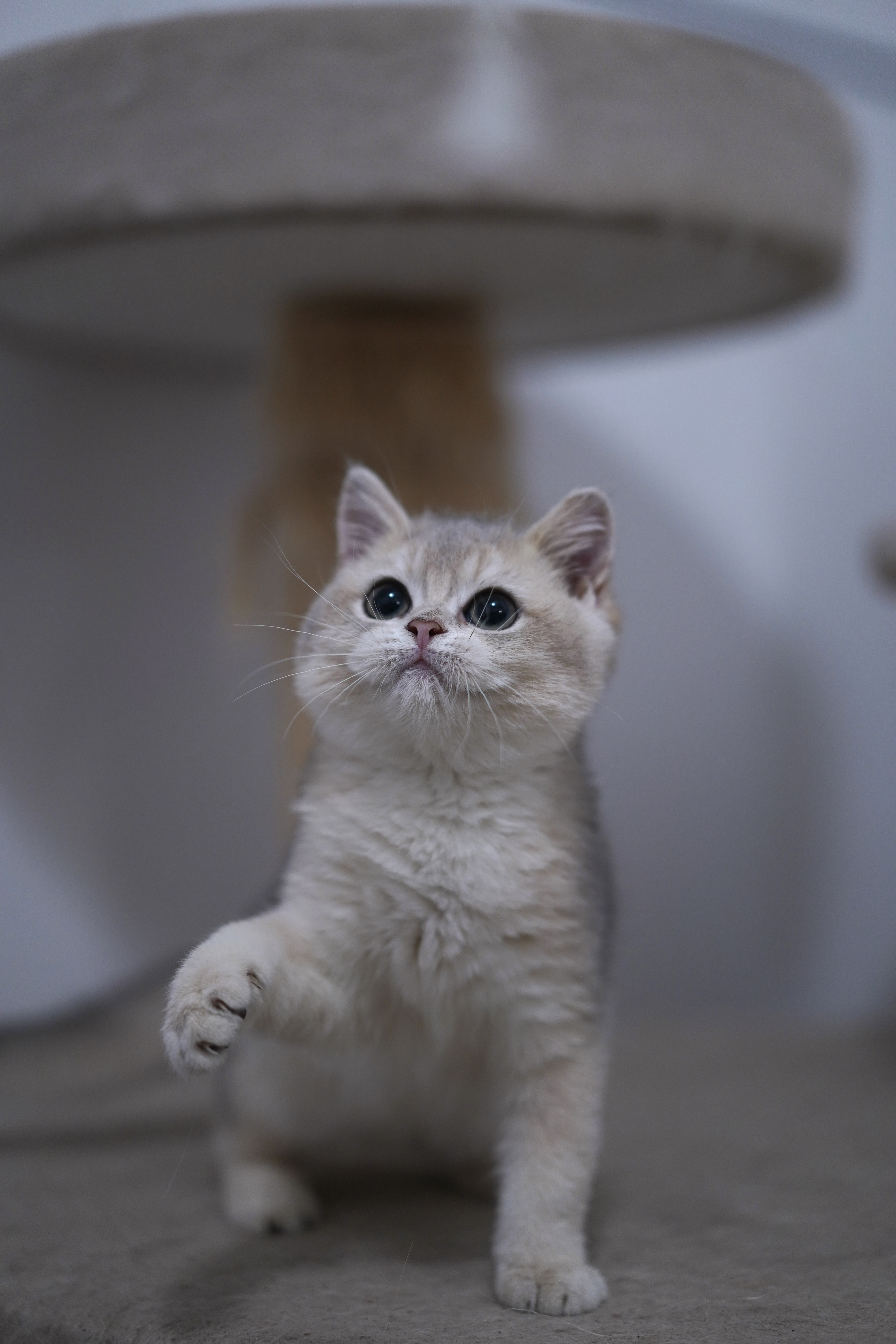 钢老大 3