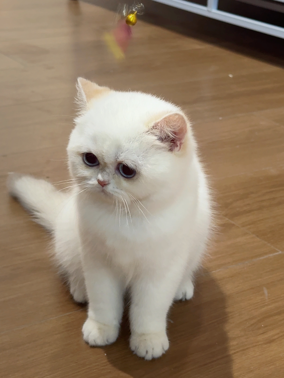 Noemie 照片 2