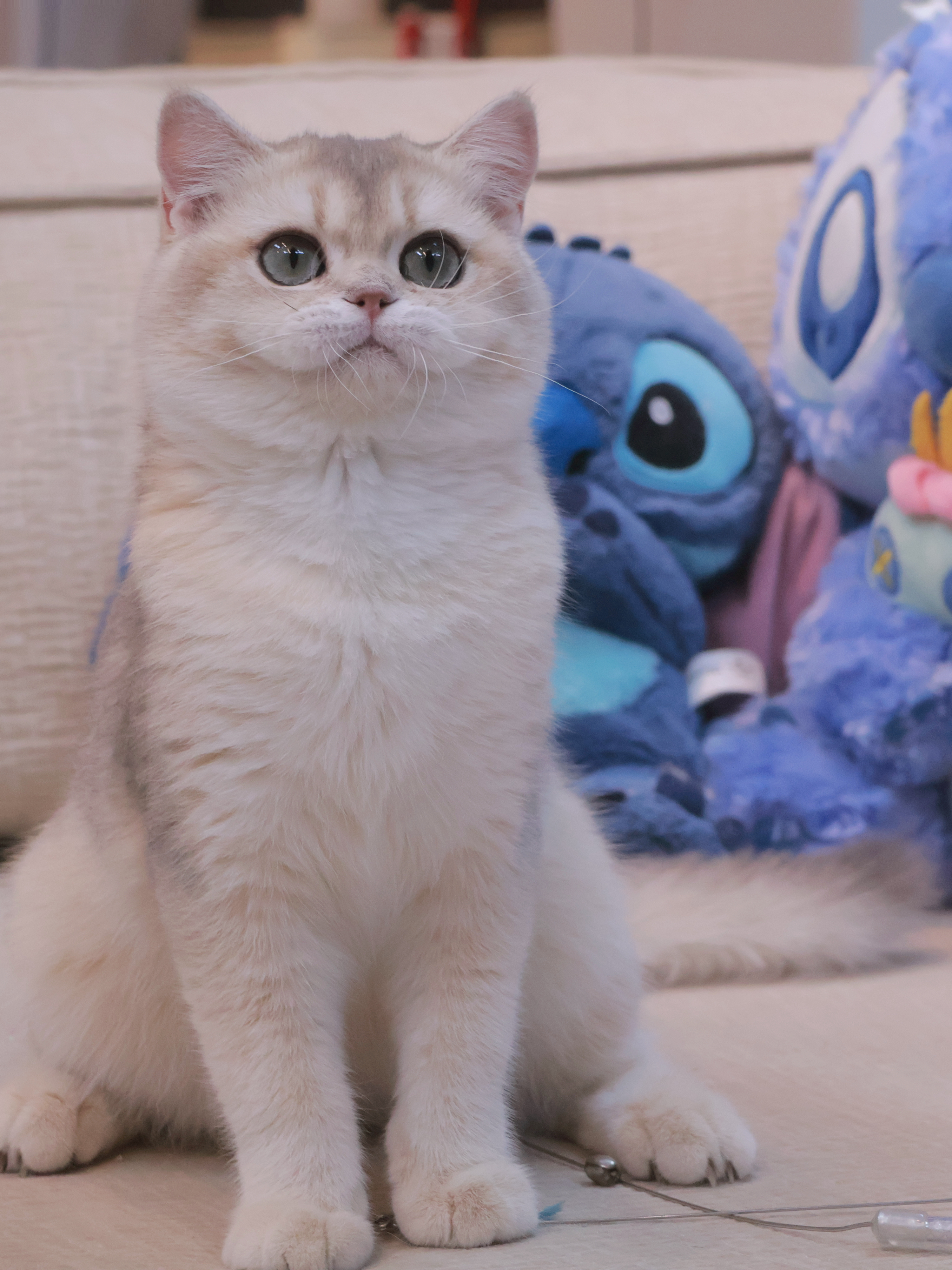 玥玥
