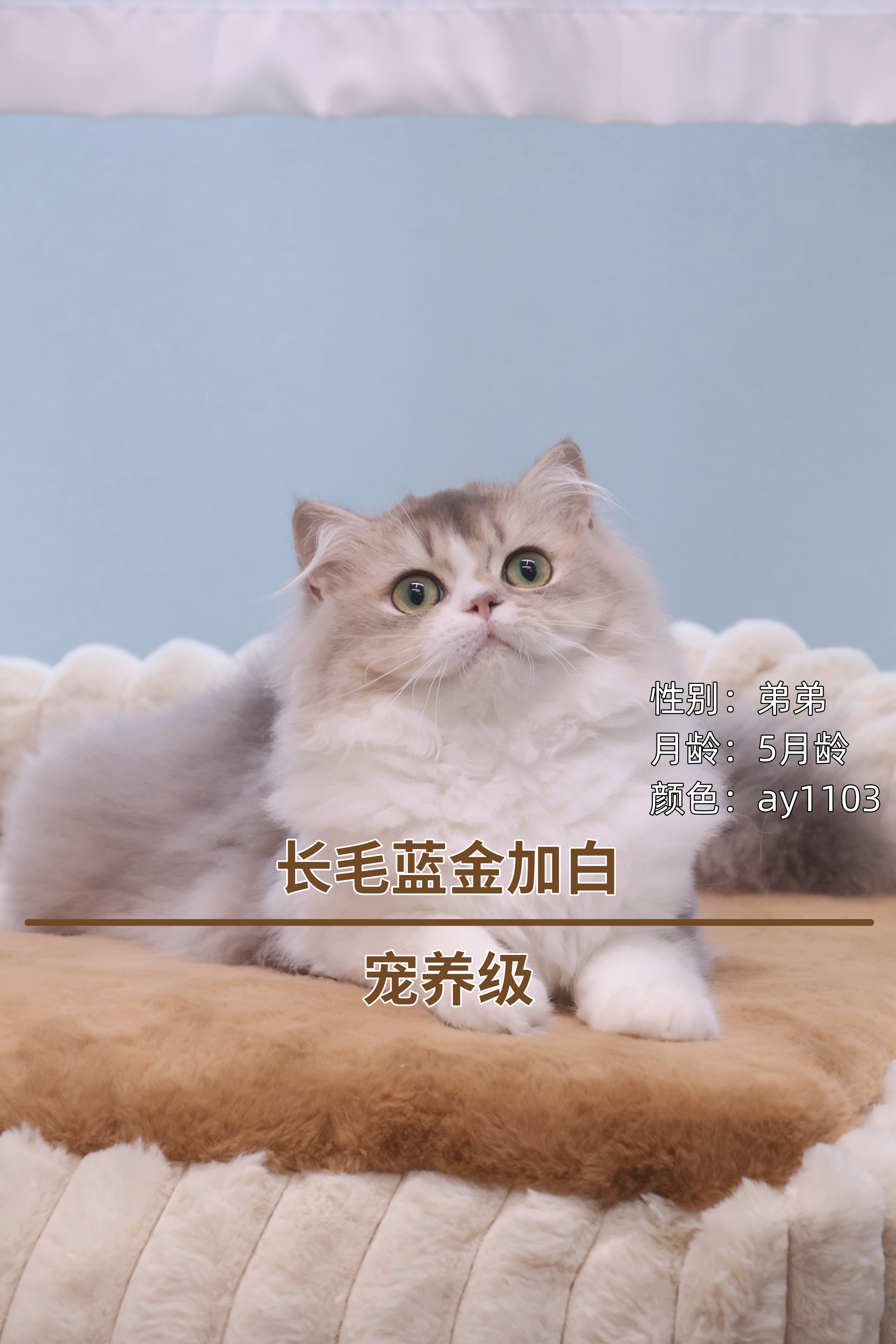 一壑
