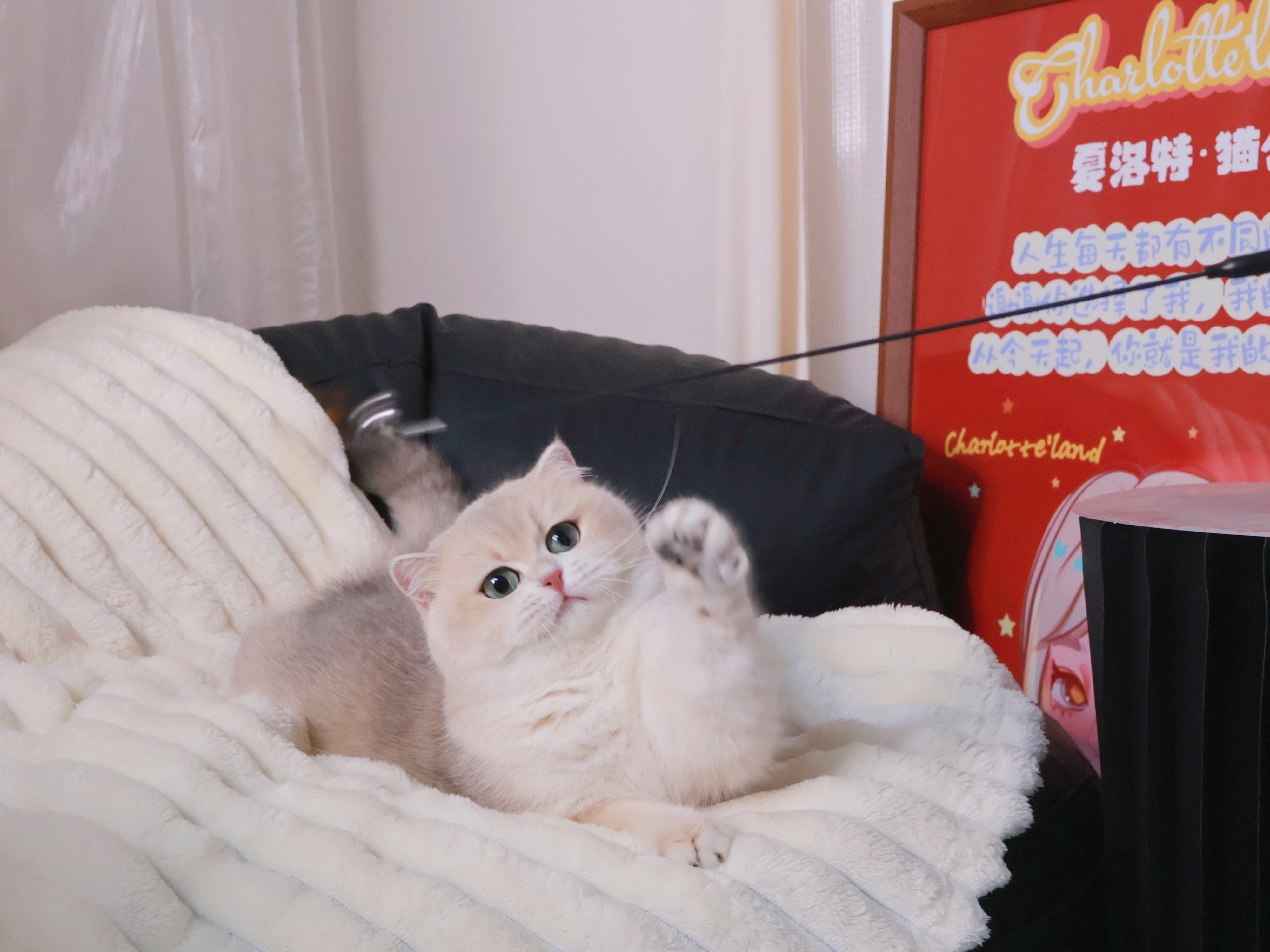 KIKI