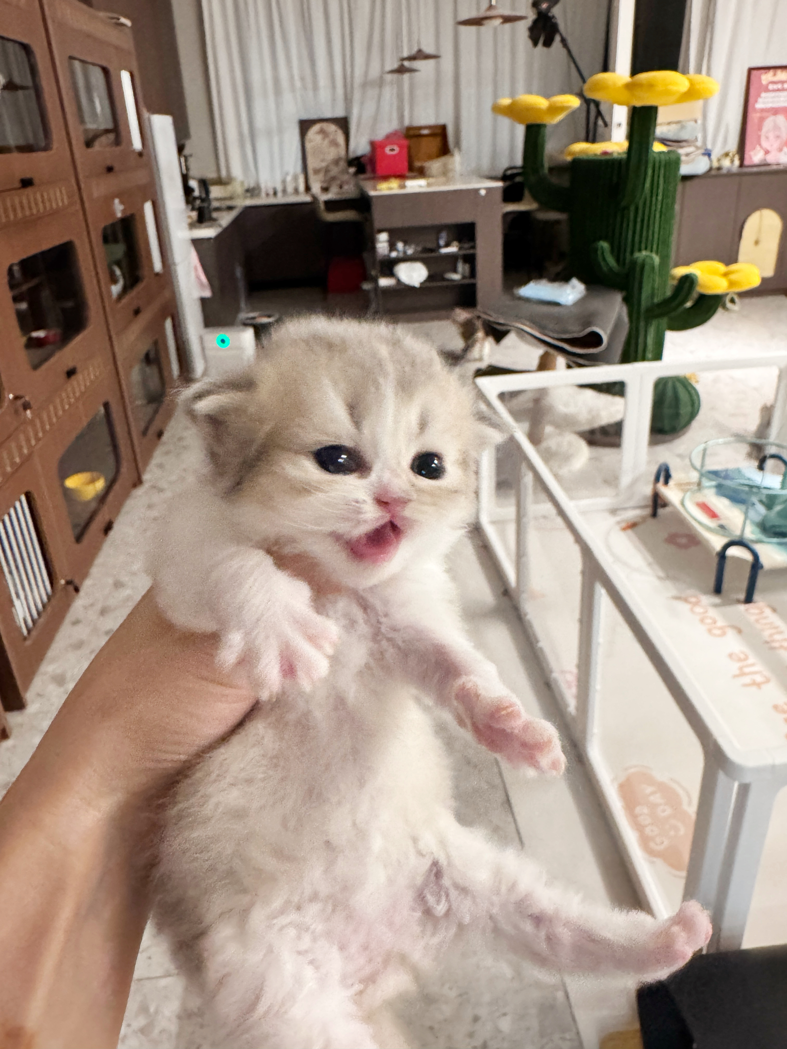 一壑 照片 5