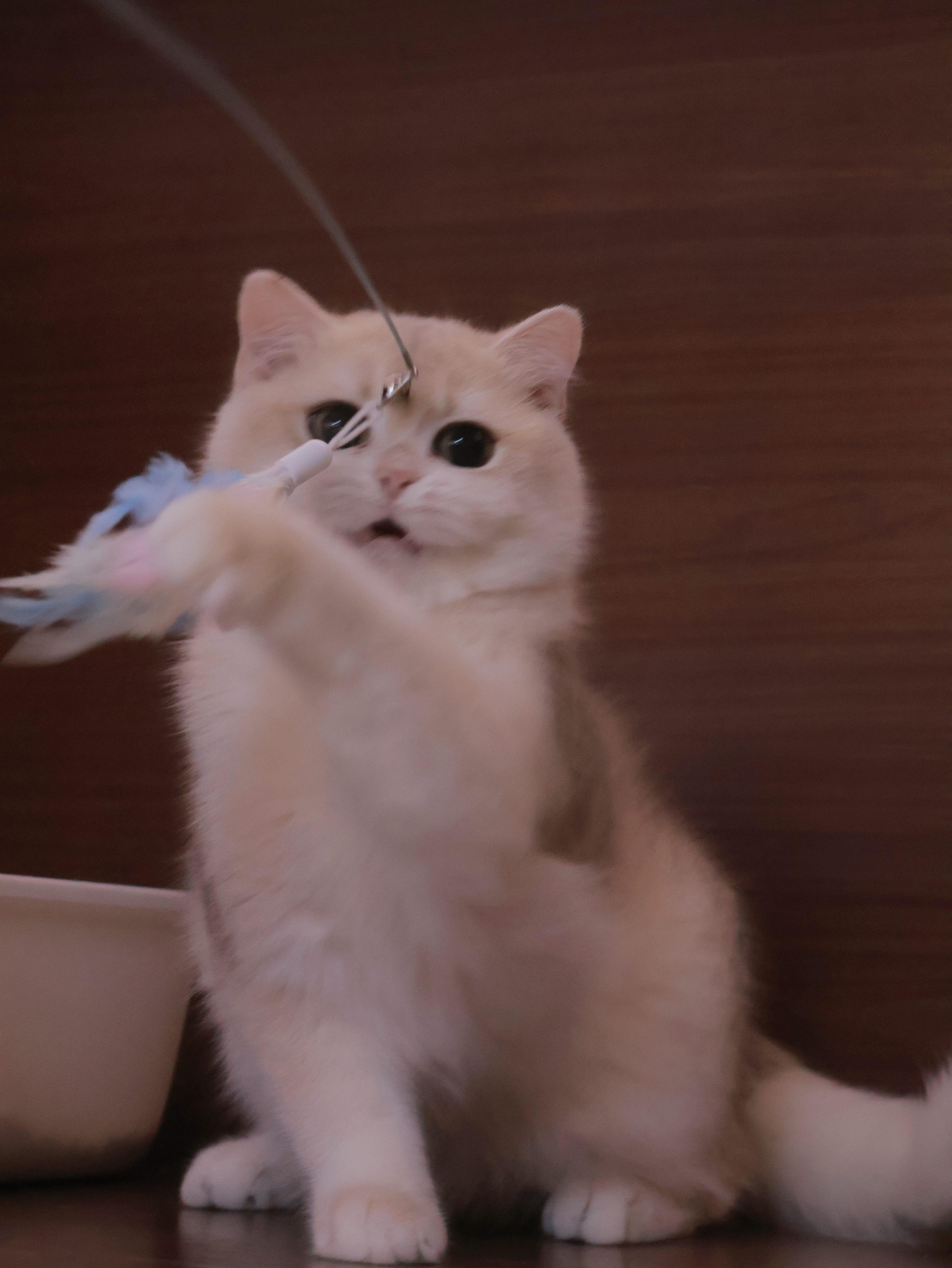 源源 5