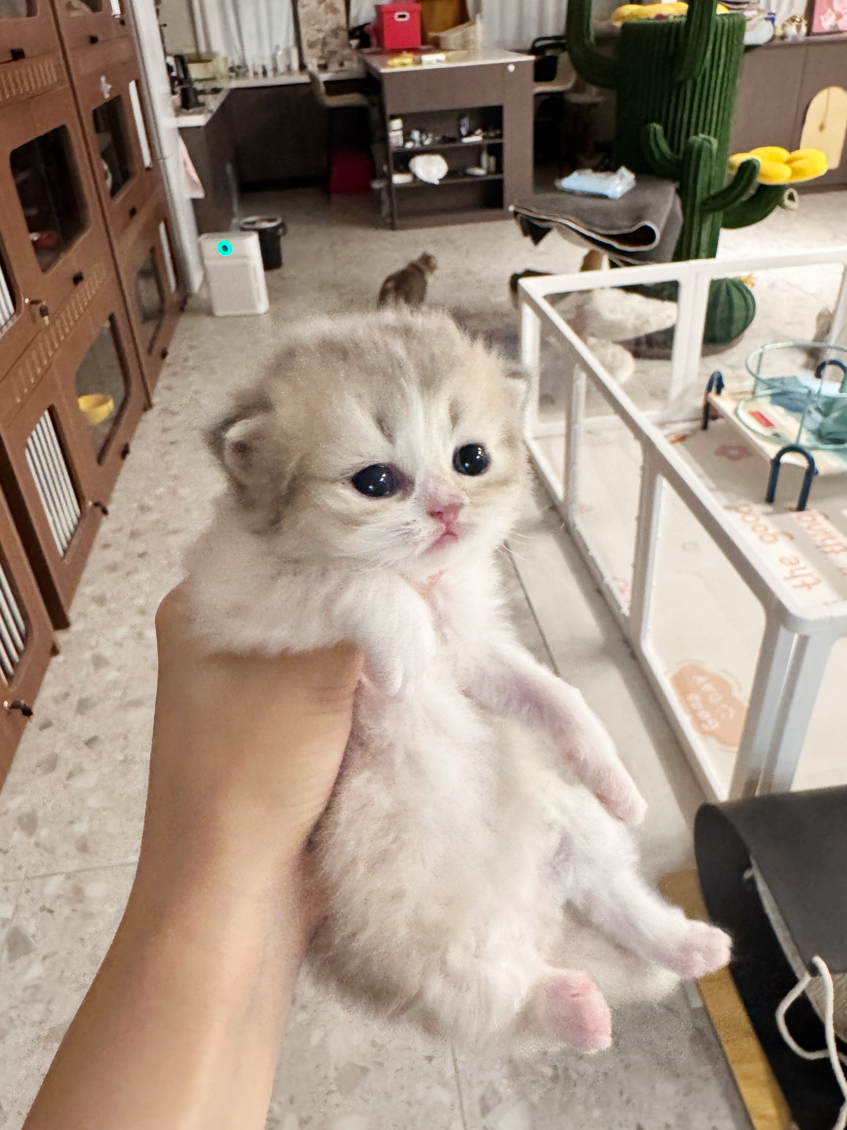 一壑 照片 4