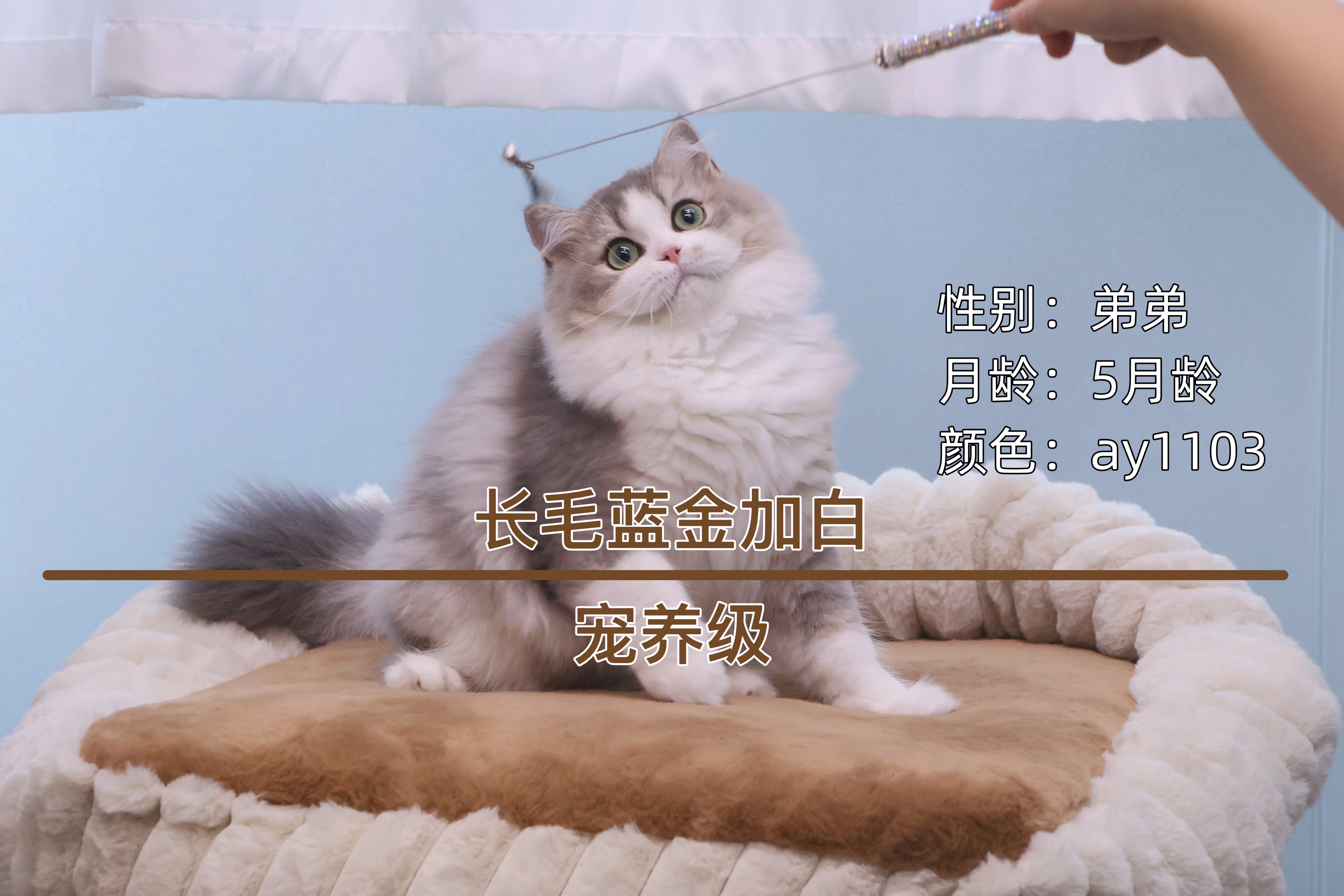 一丘