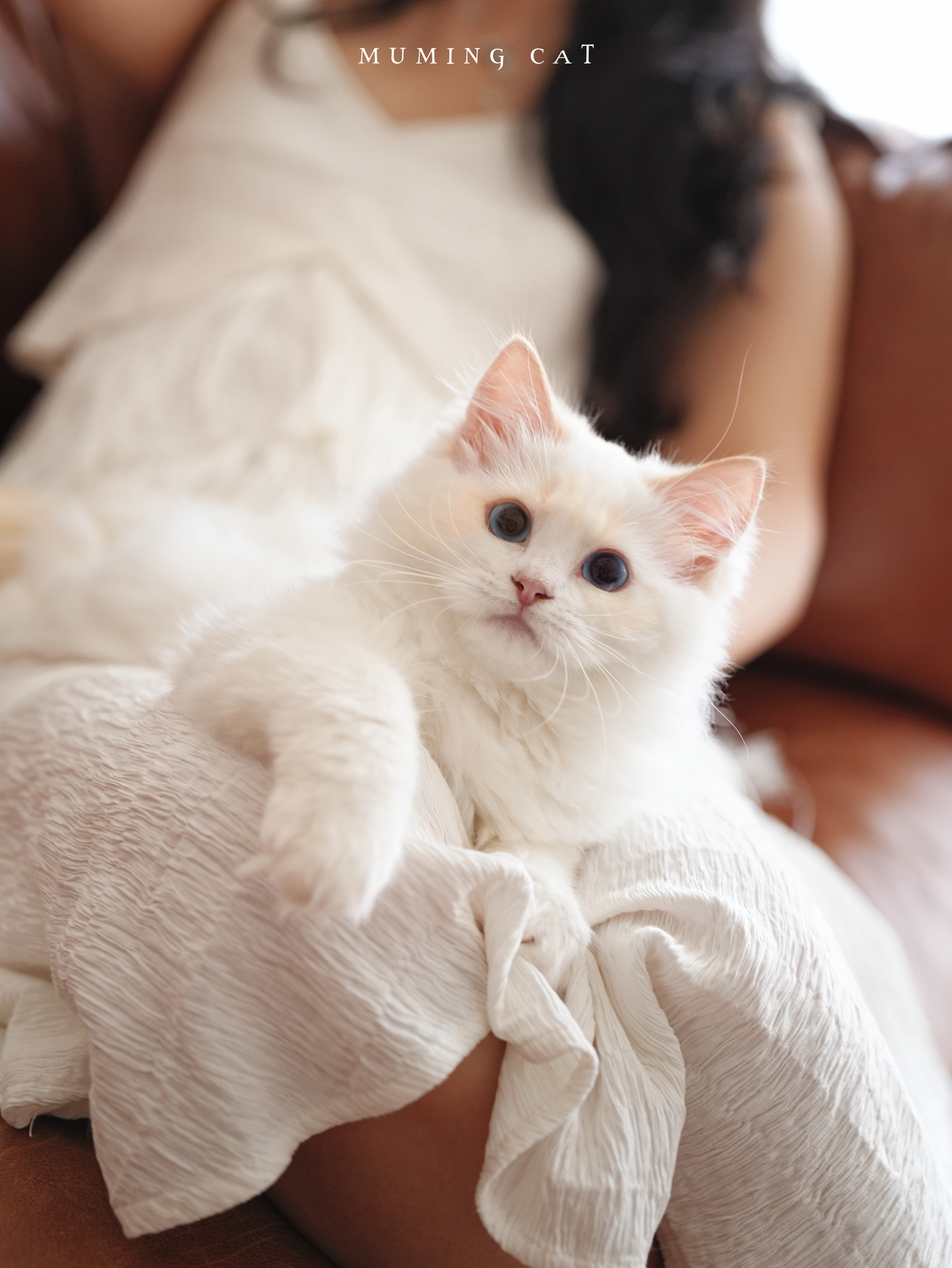 ❣️赤辰 5