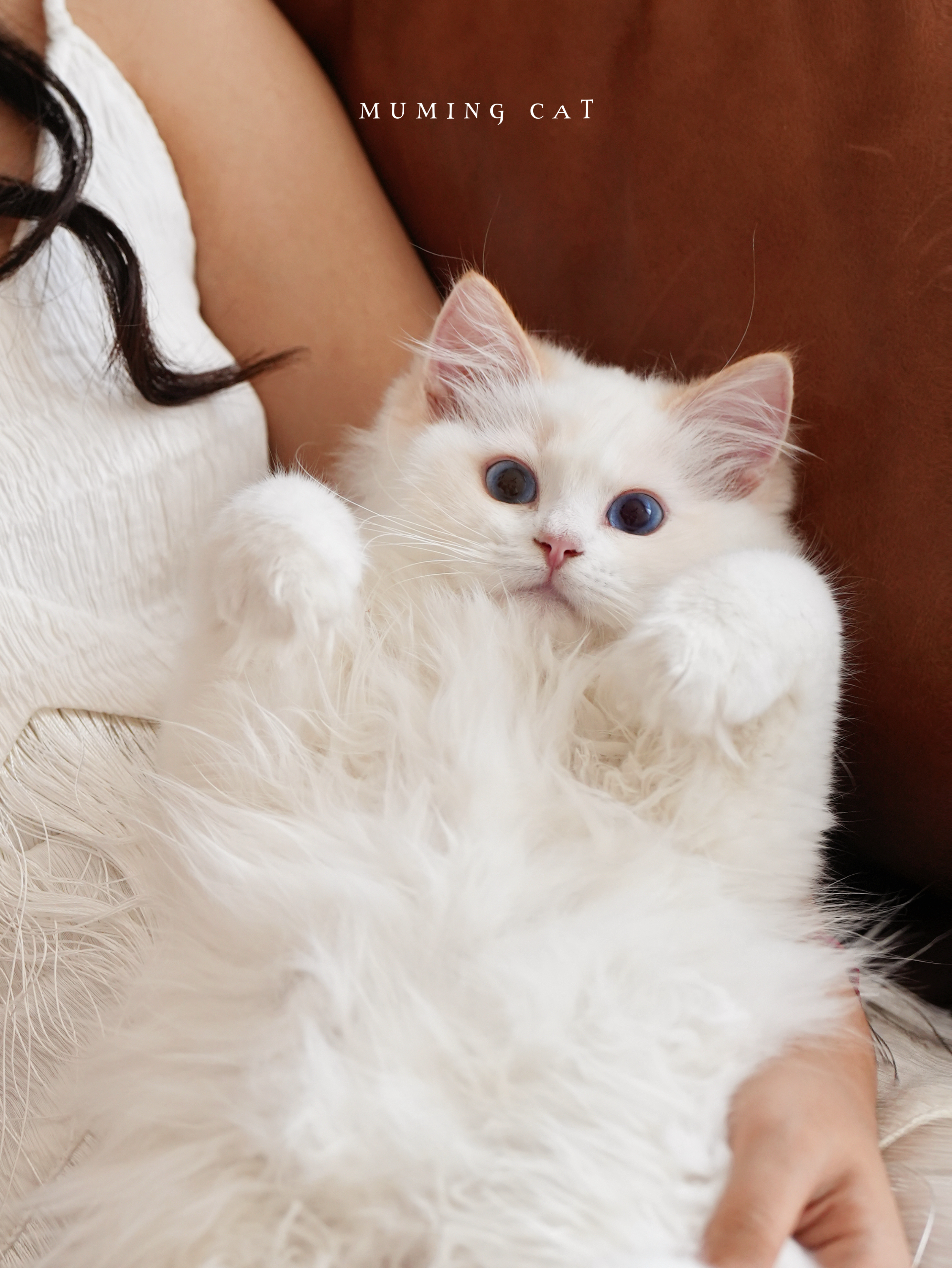 ❣️赤辰 6