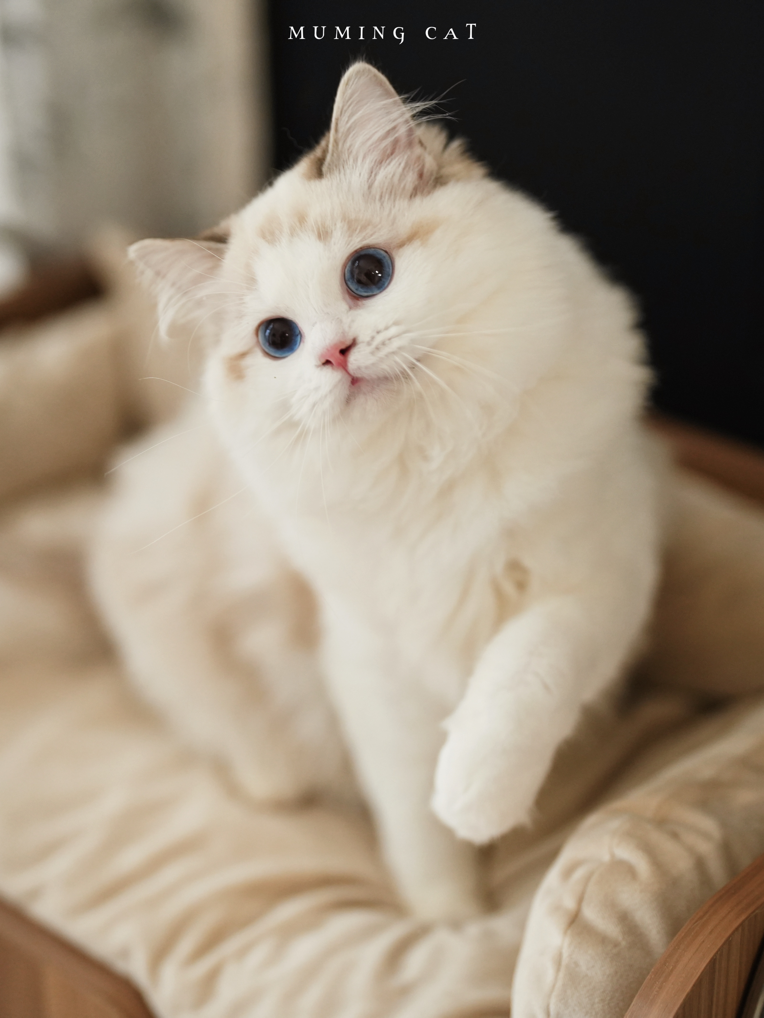 星琪 Kiki 5