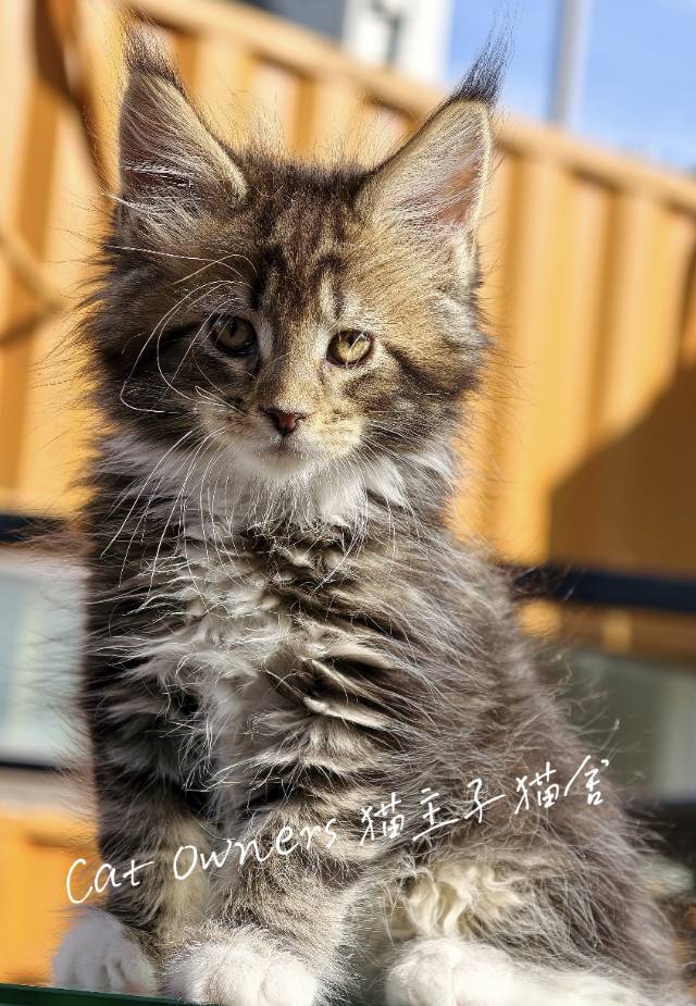 壮壮 照片 4