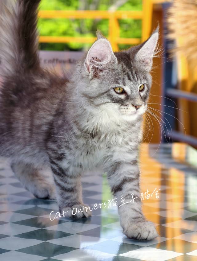 小花生