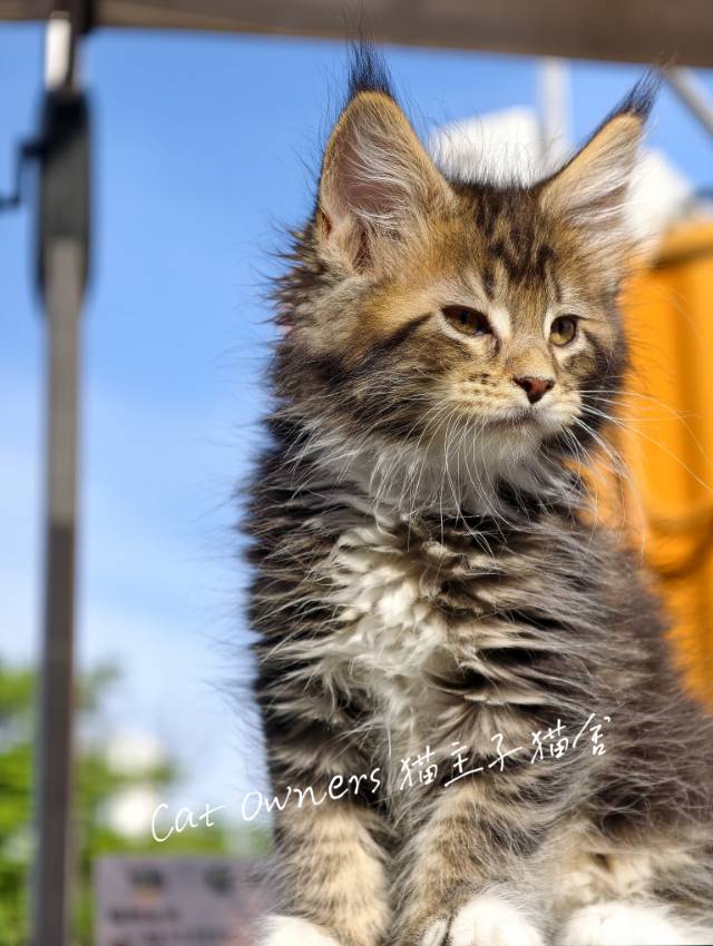 壮壮 照片 7