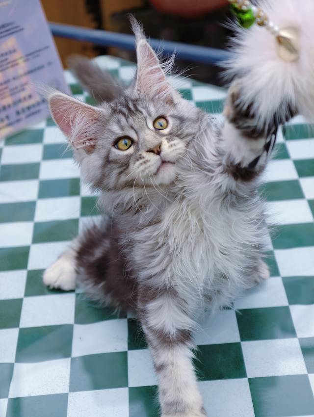 小漂亮