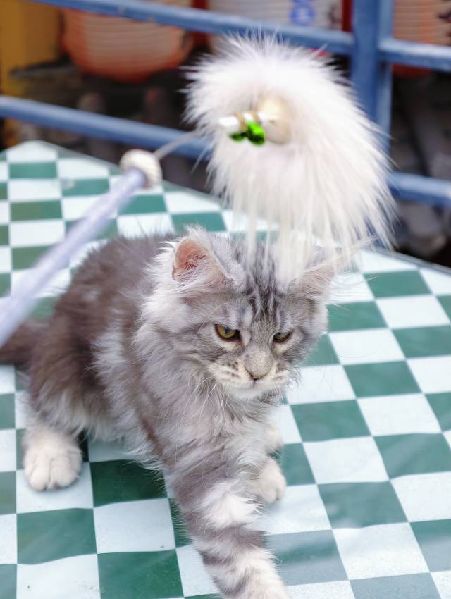 小漂亮