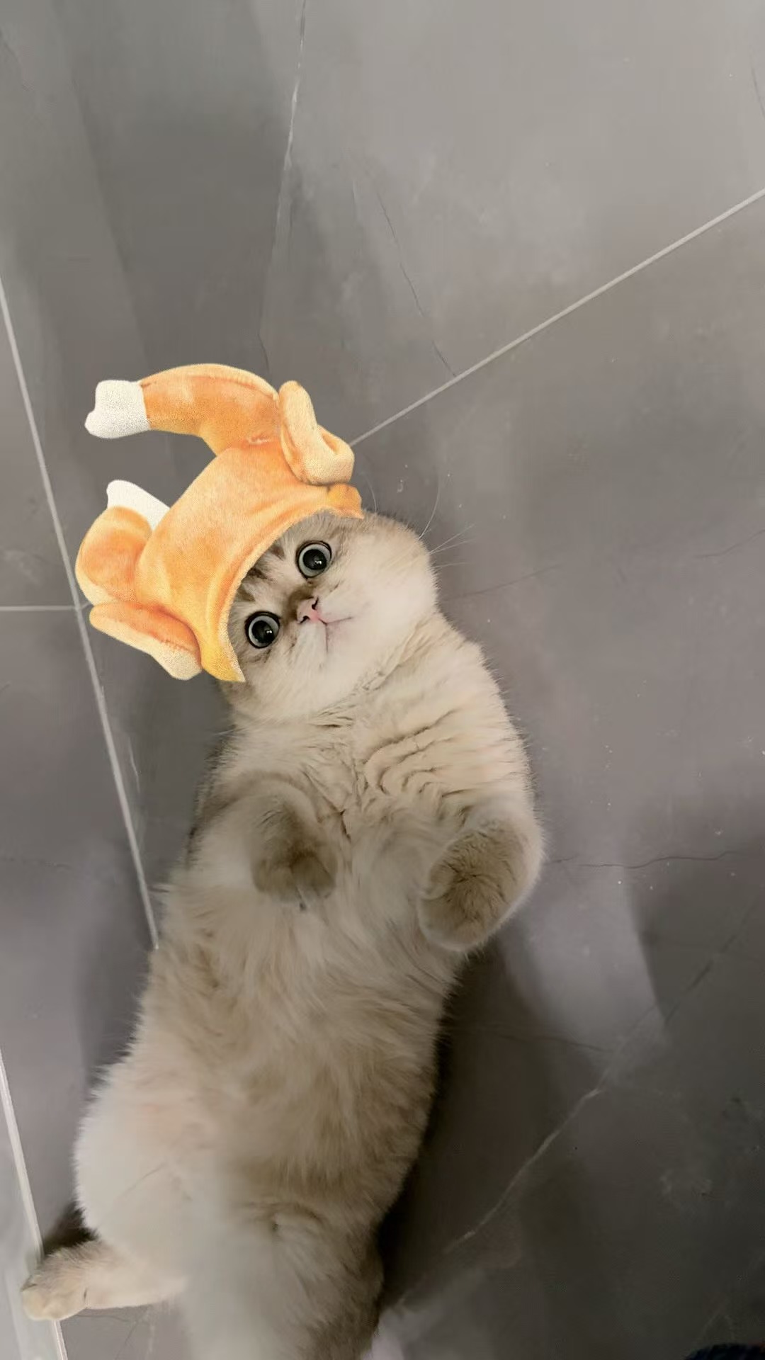 蛋挞