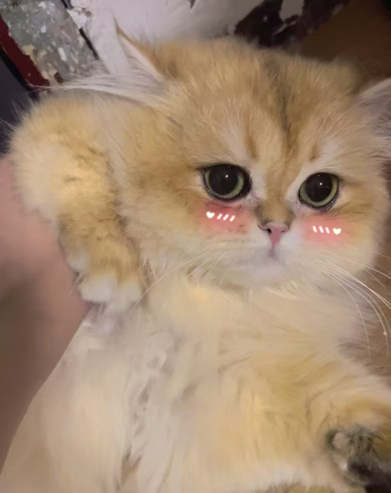王子