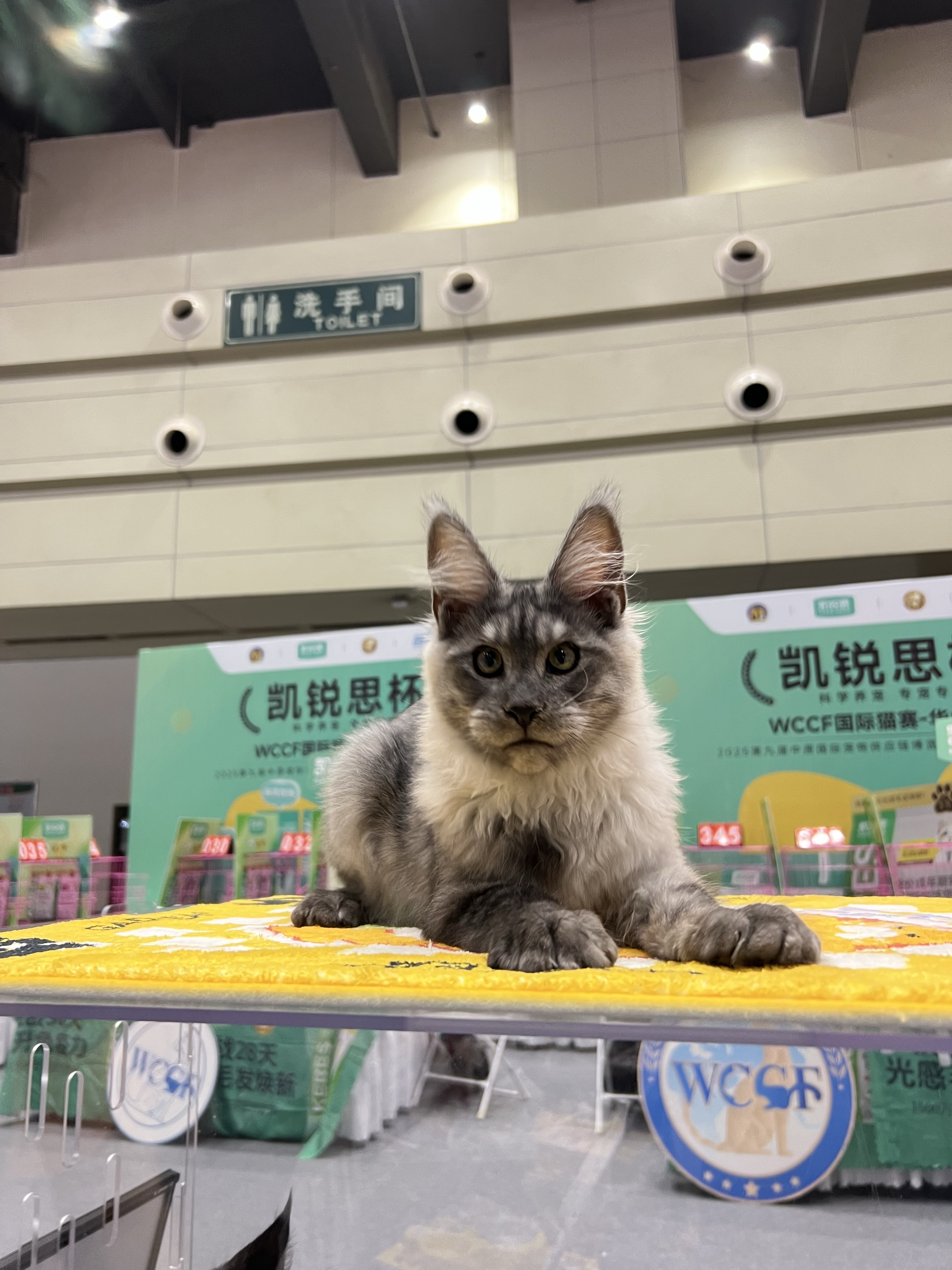 风暴