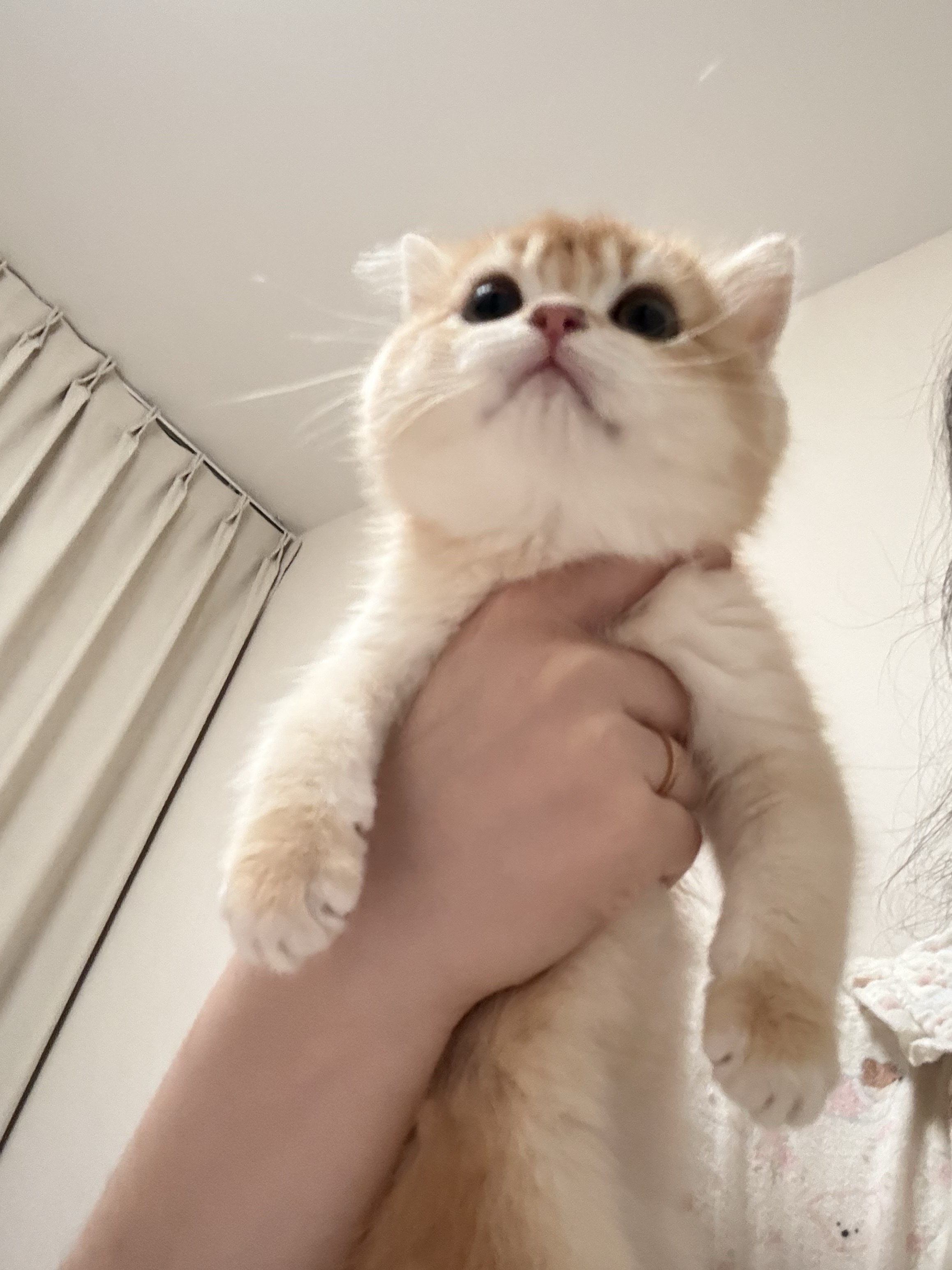 zoe