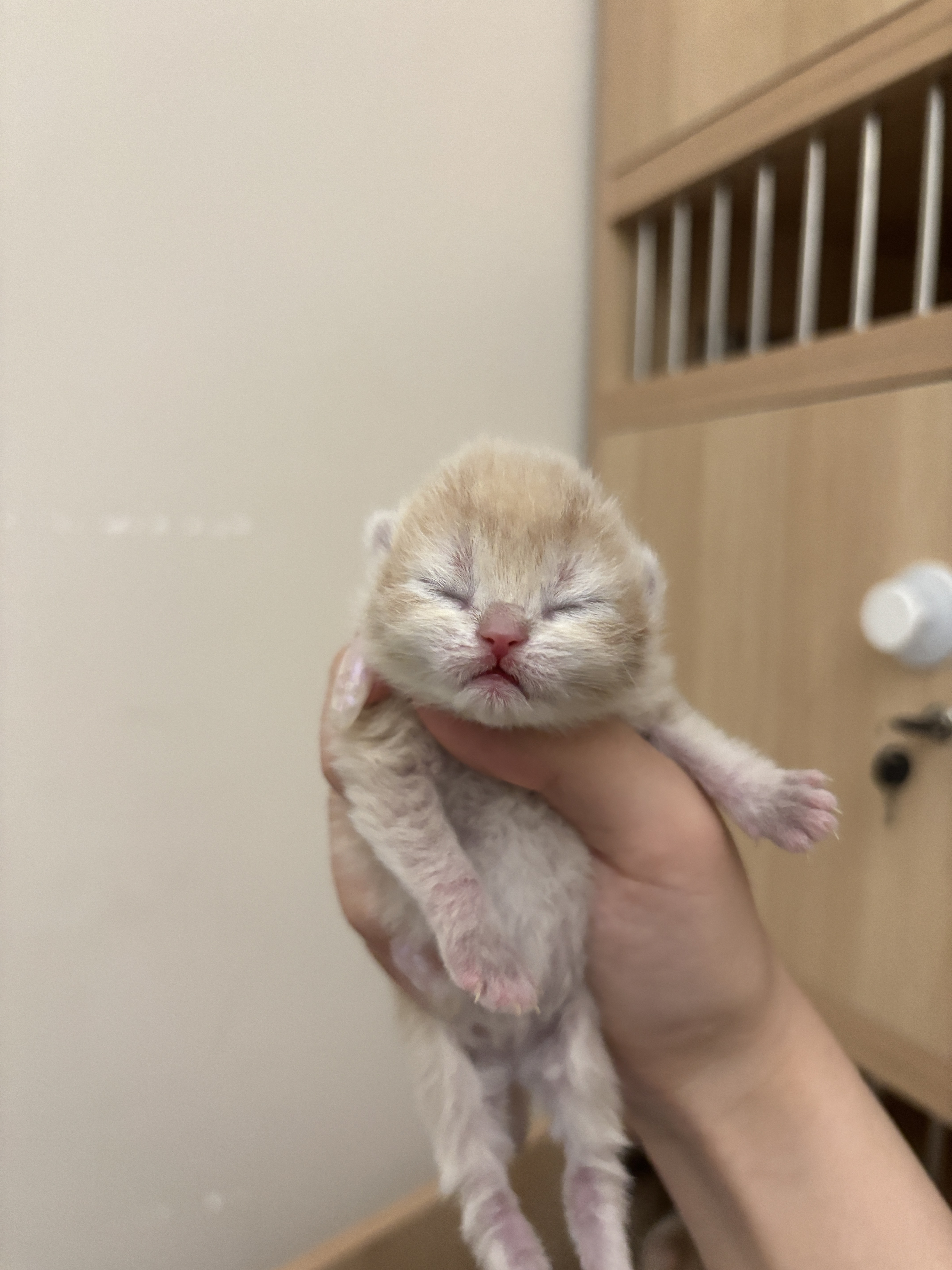 出生啦🐣
