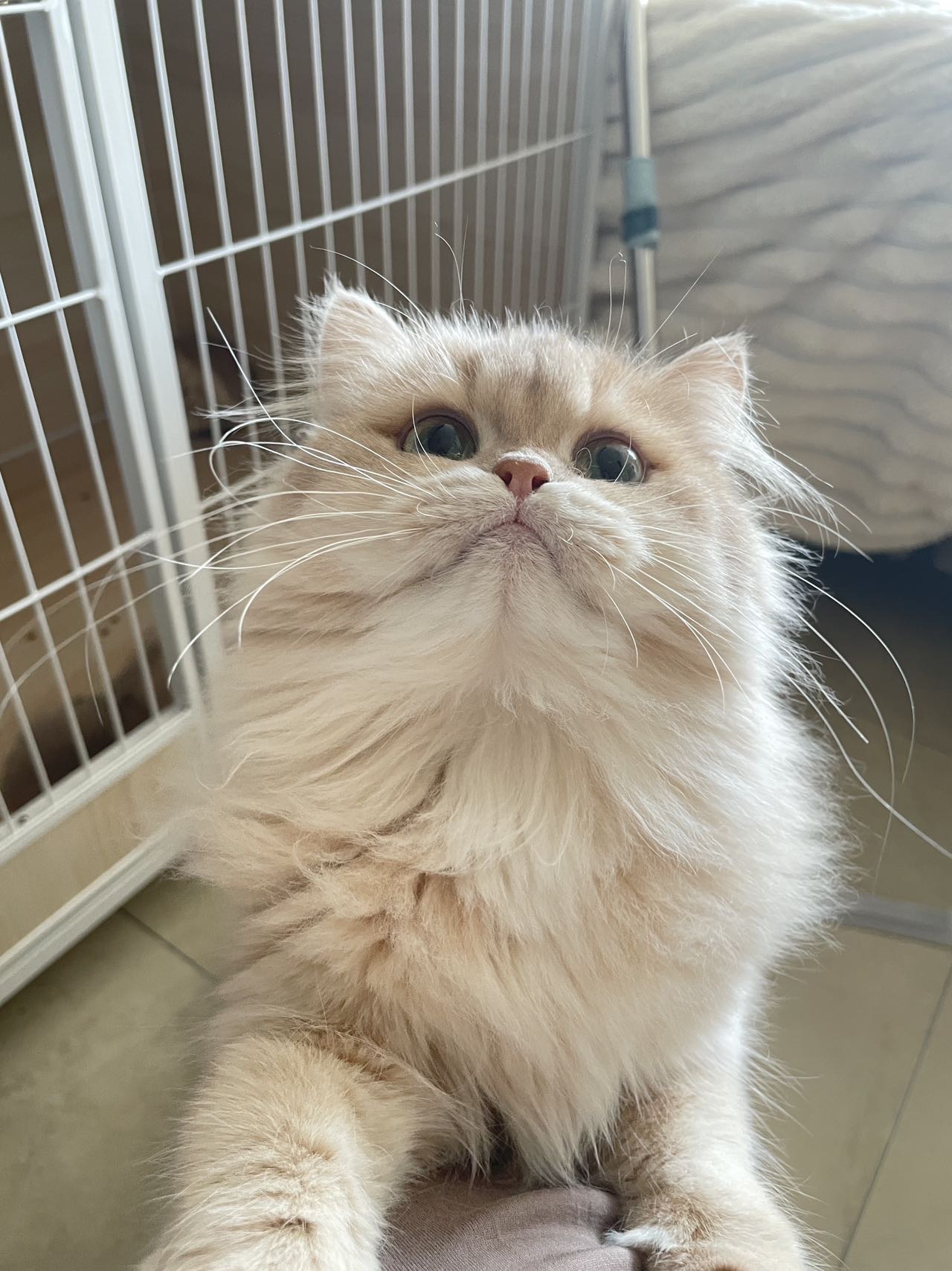 悠悠