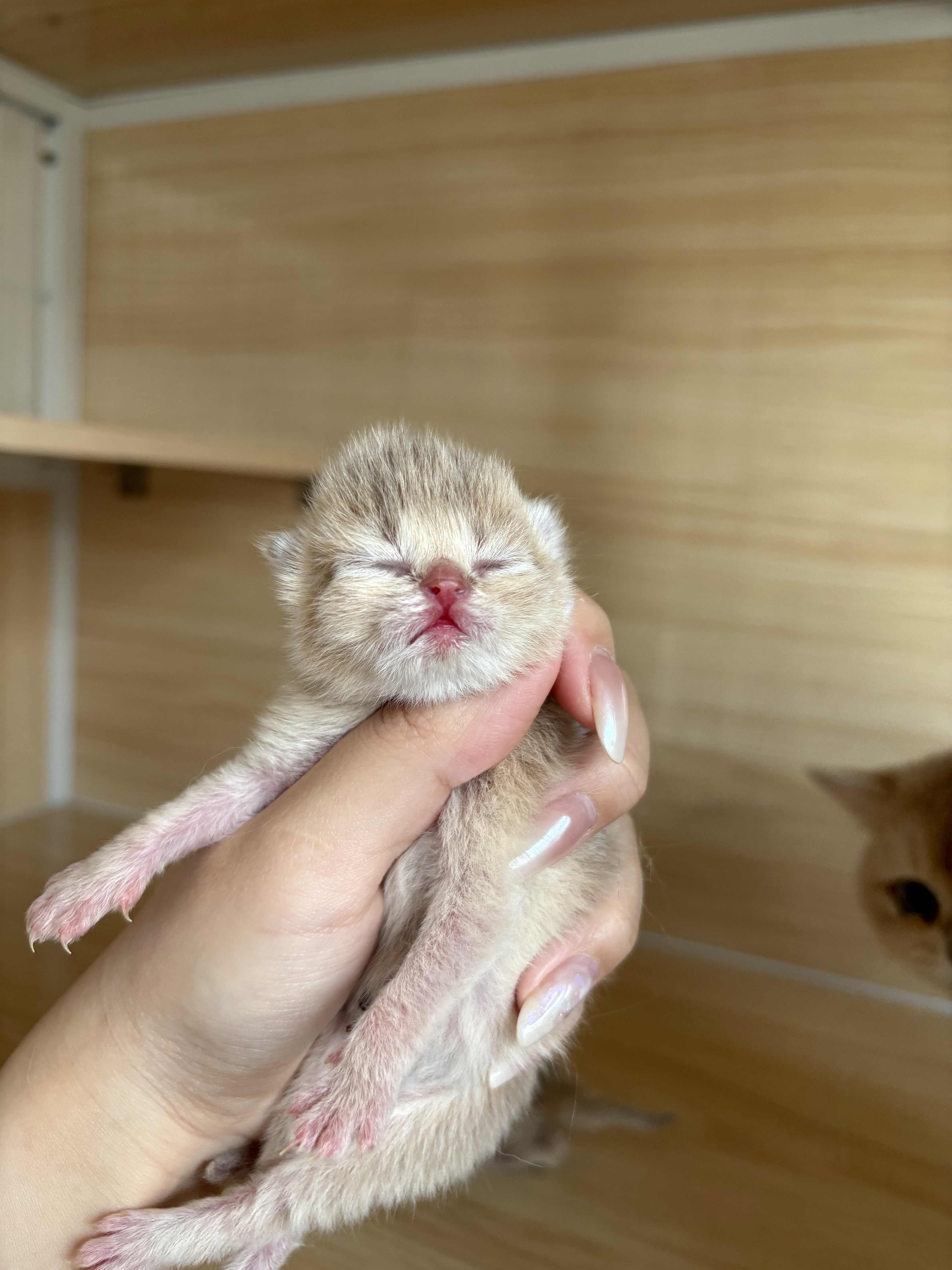 出生🐣