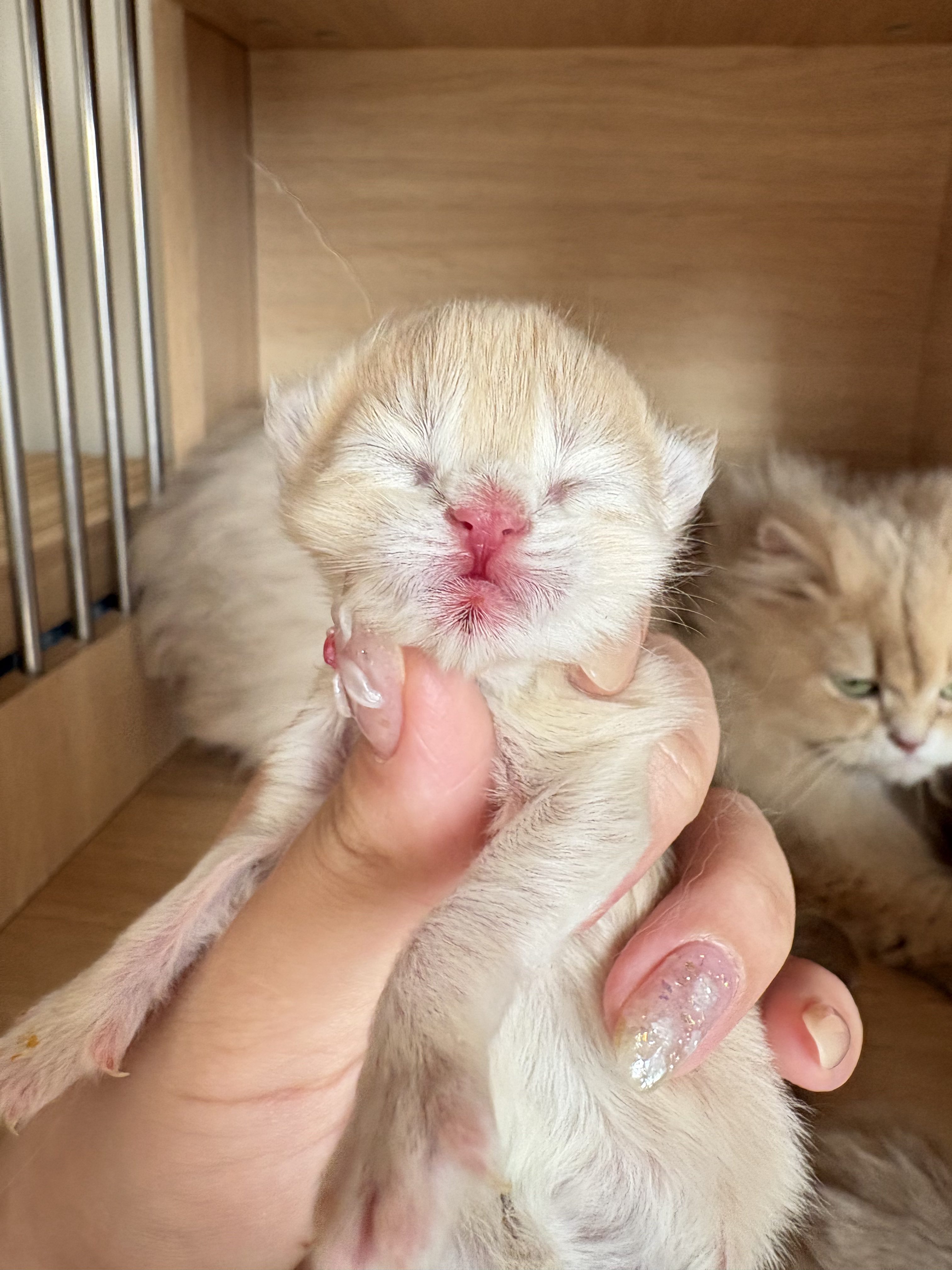 出生啦🐣