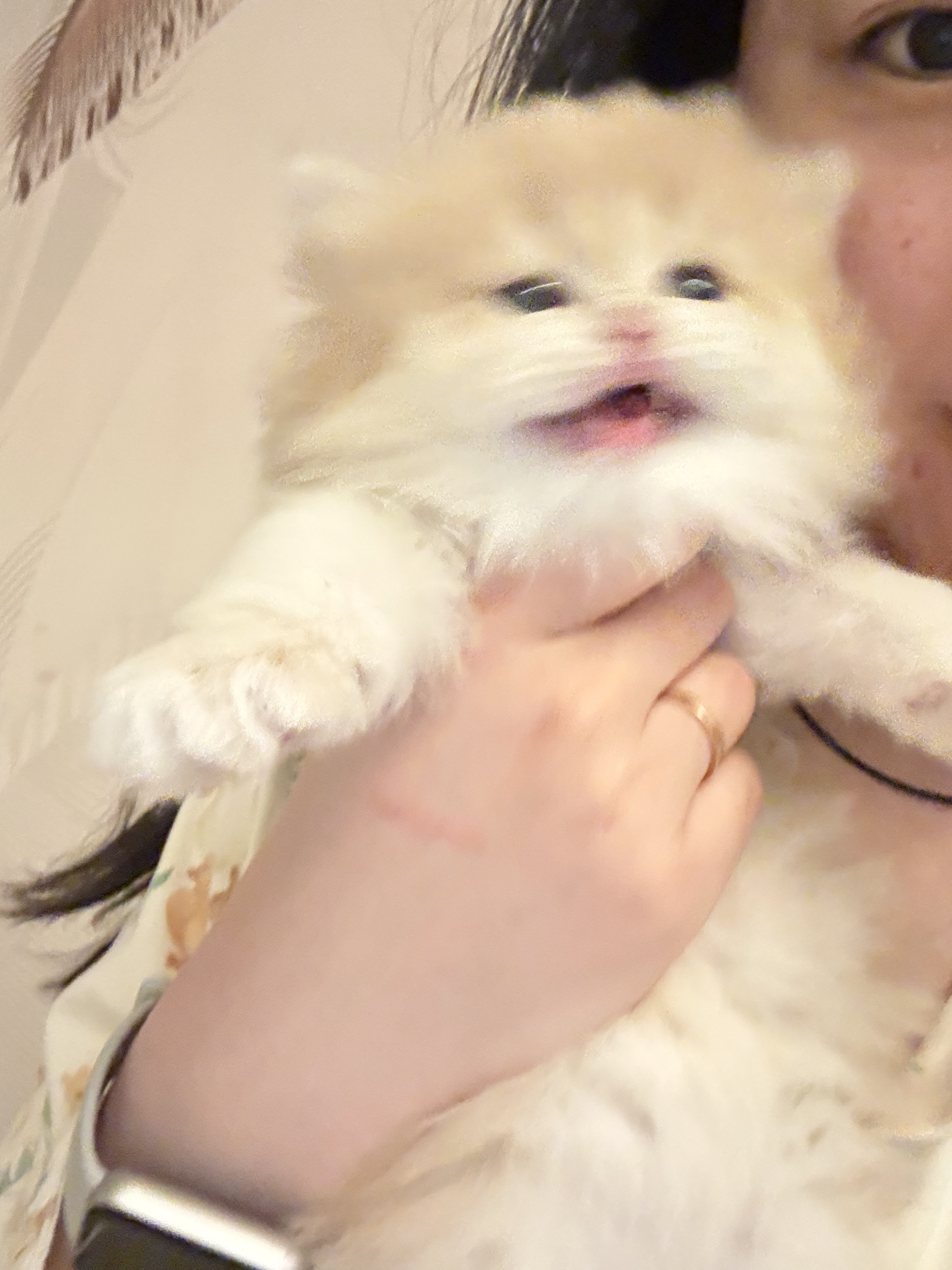 年年