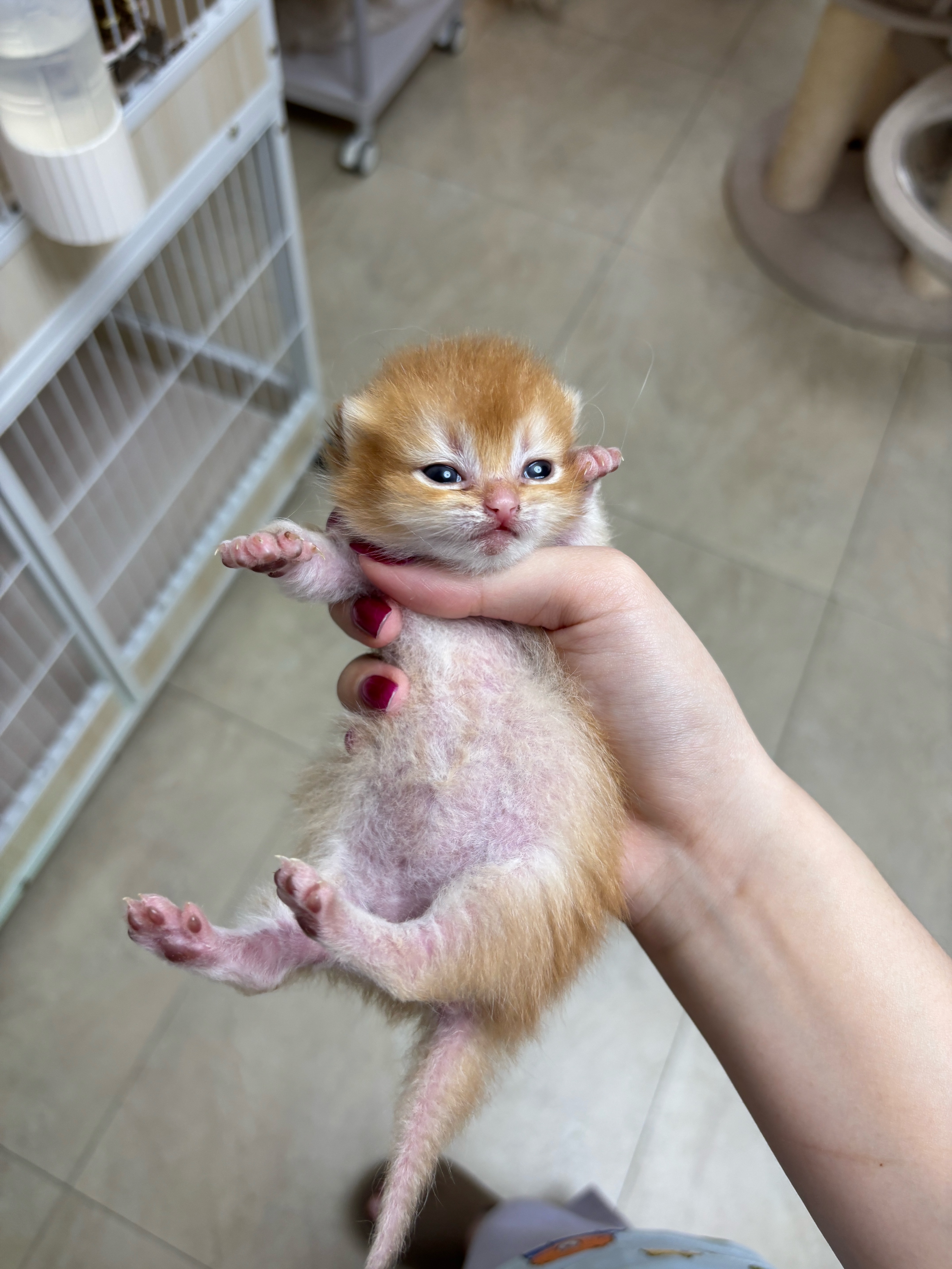 周天