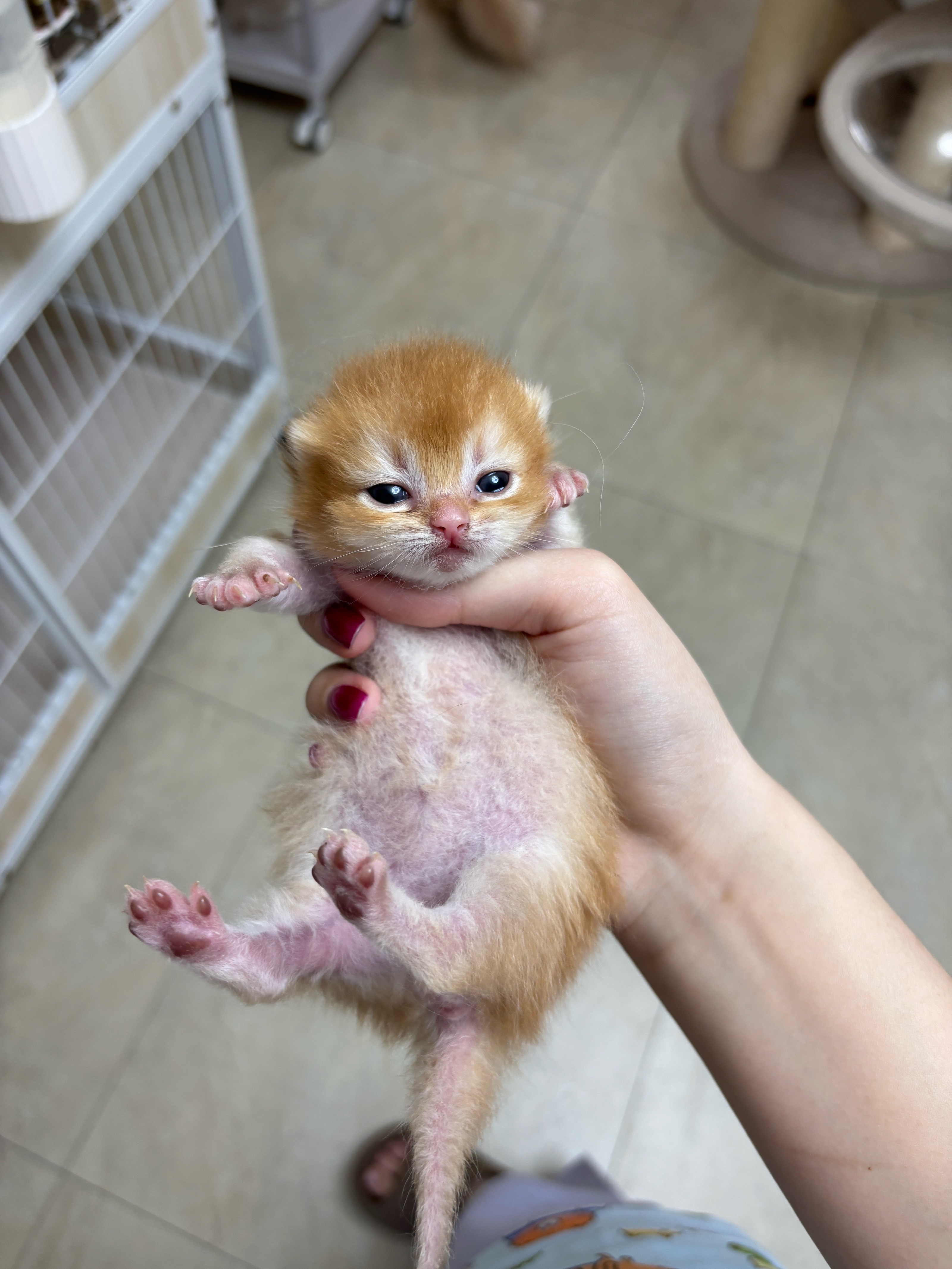 周天