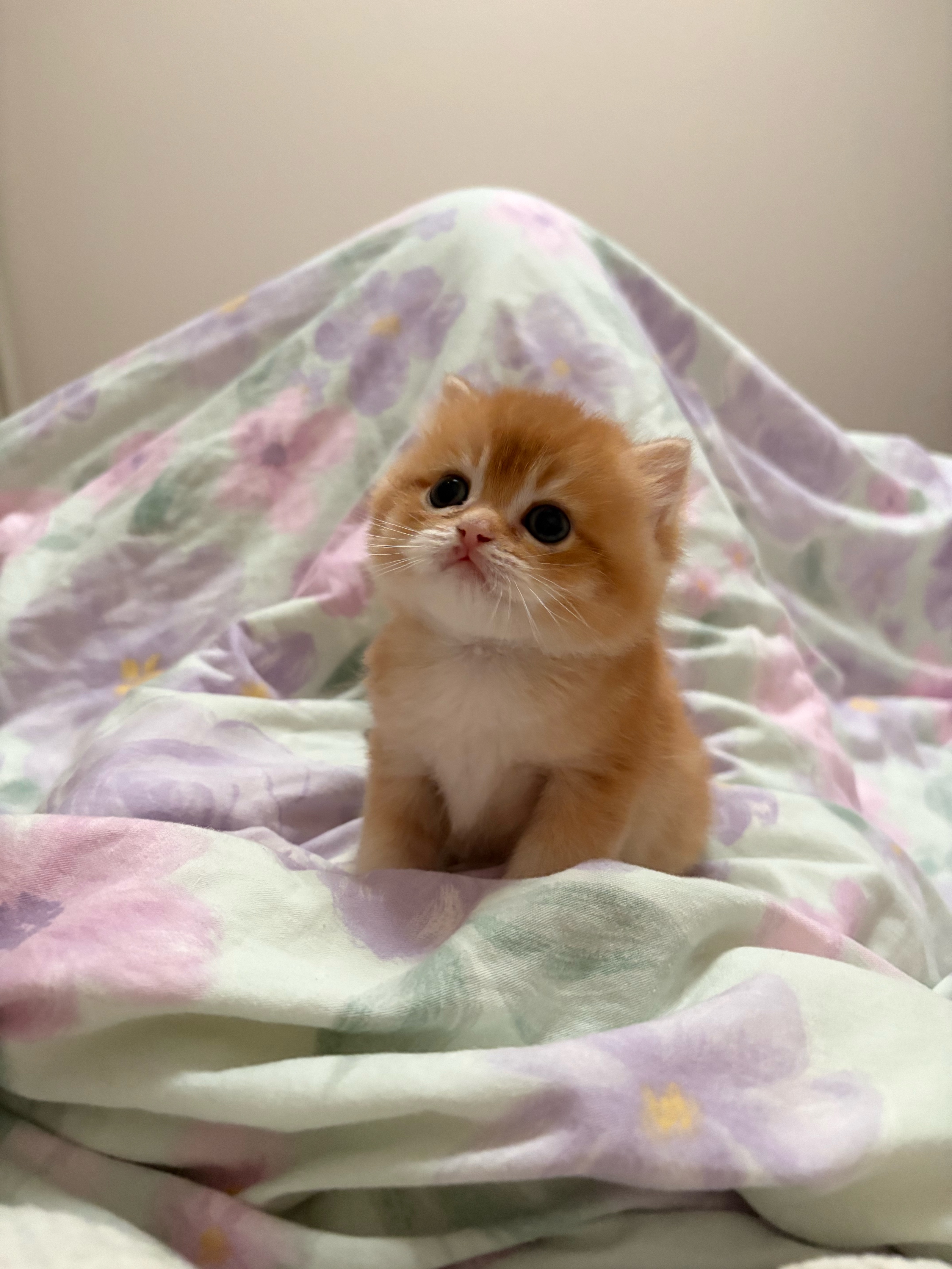 周天