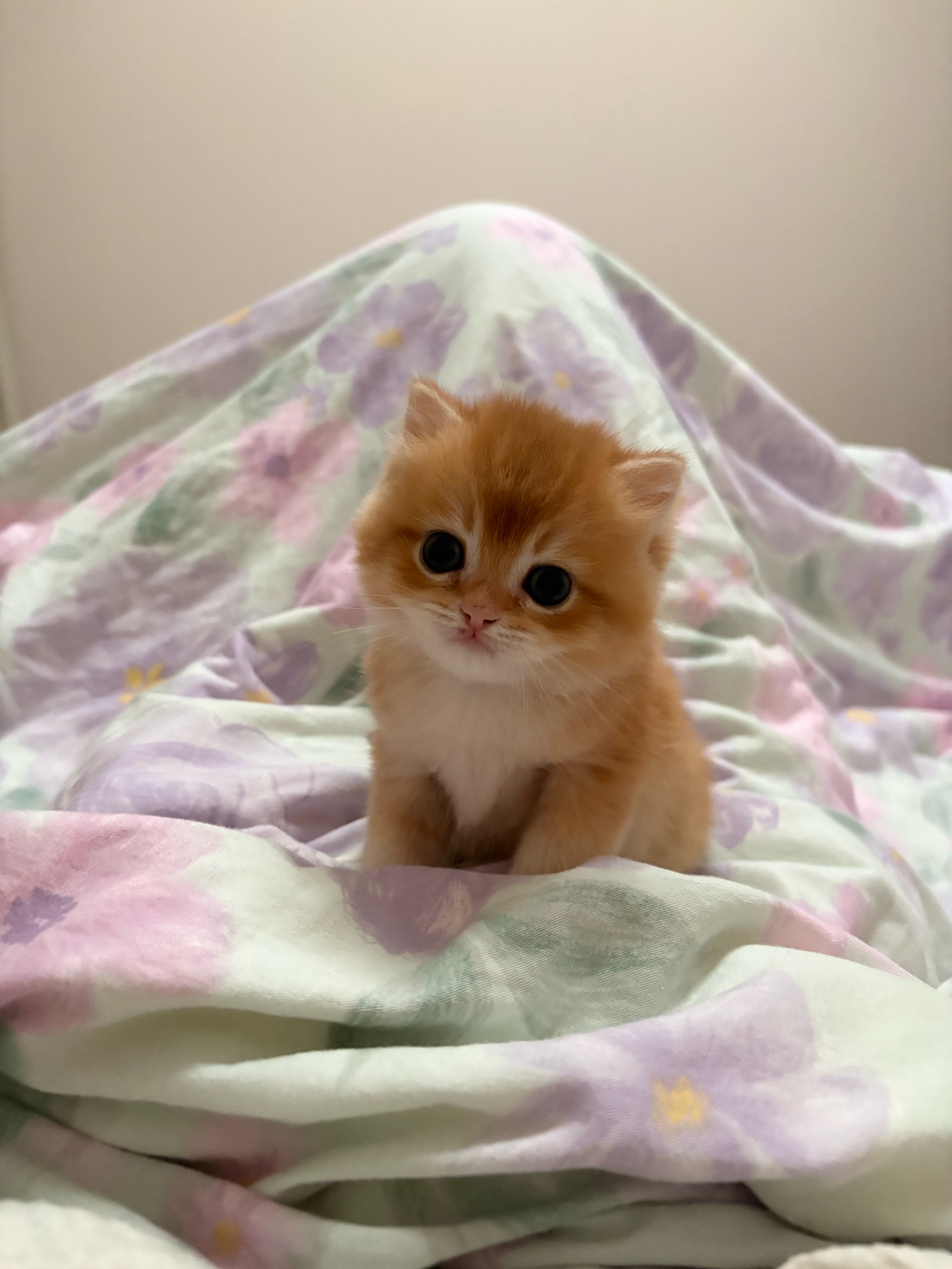 周天