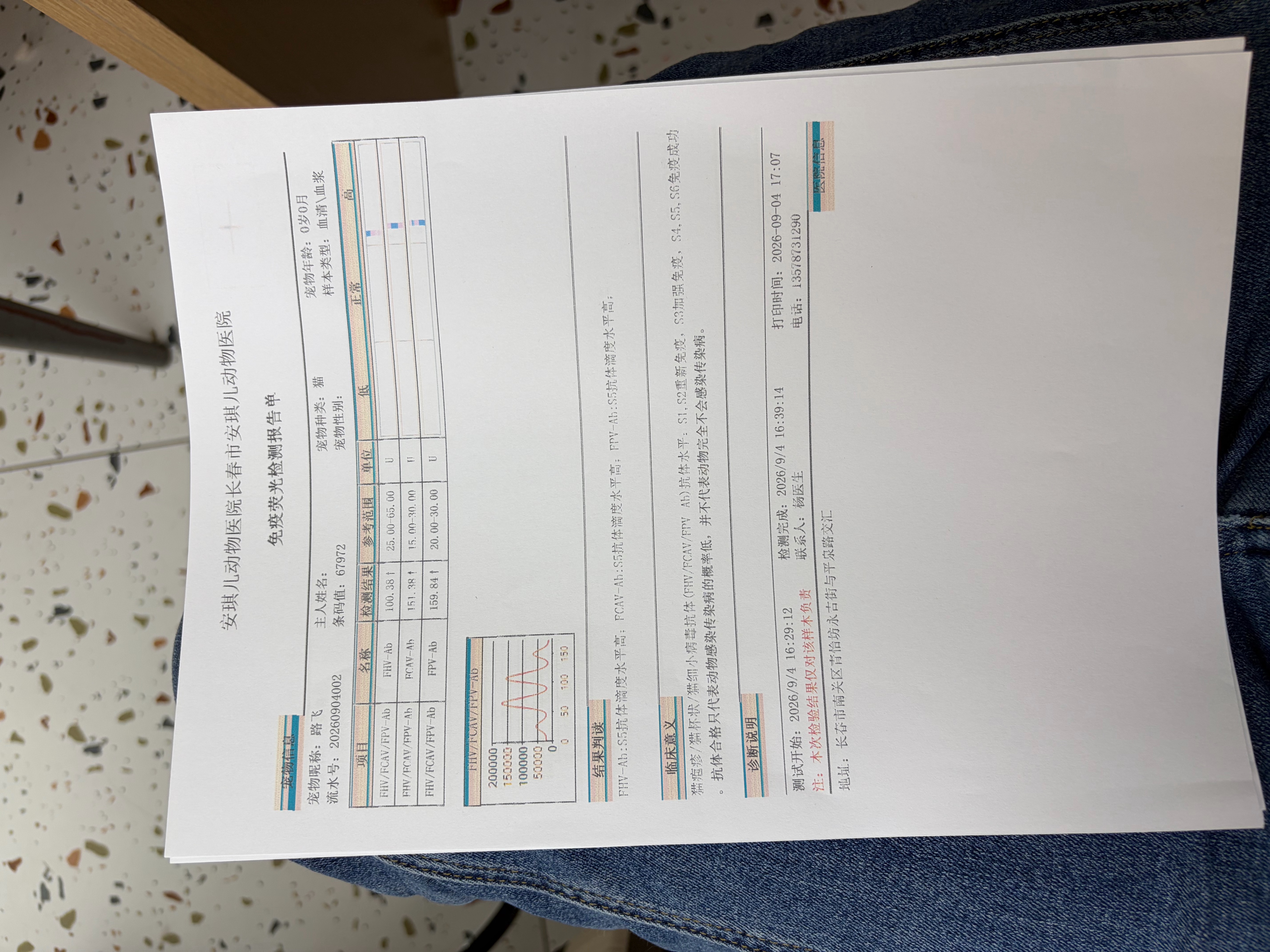抗体检测合格✅
