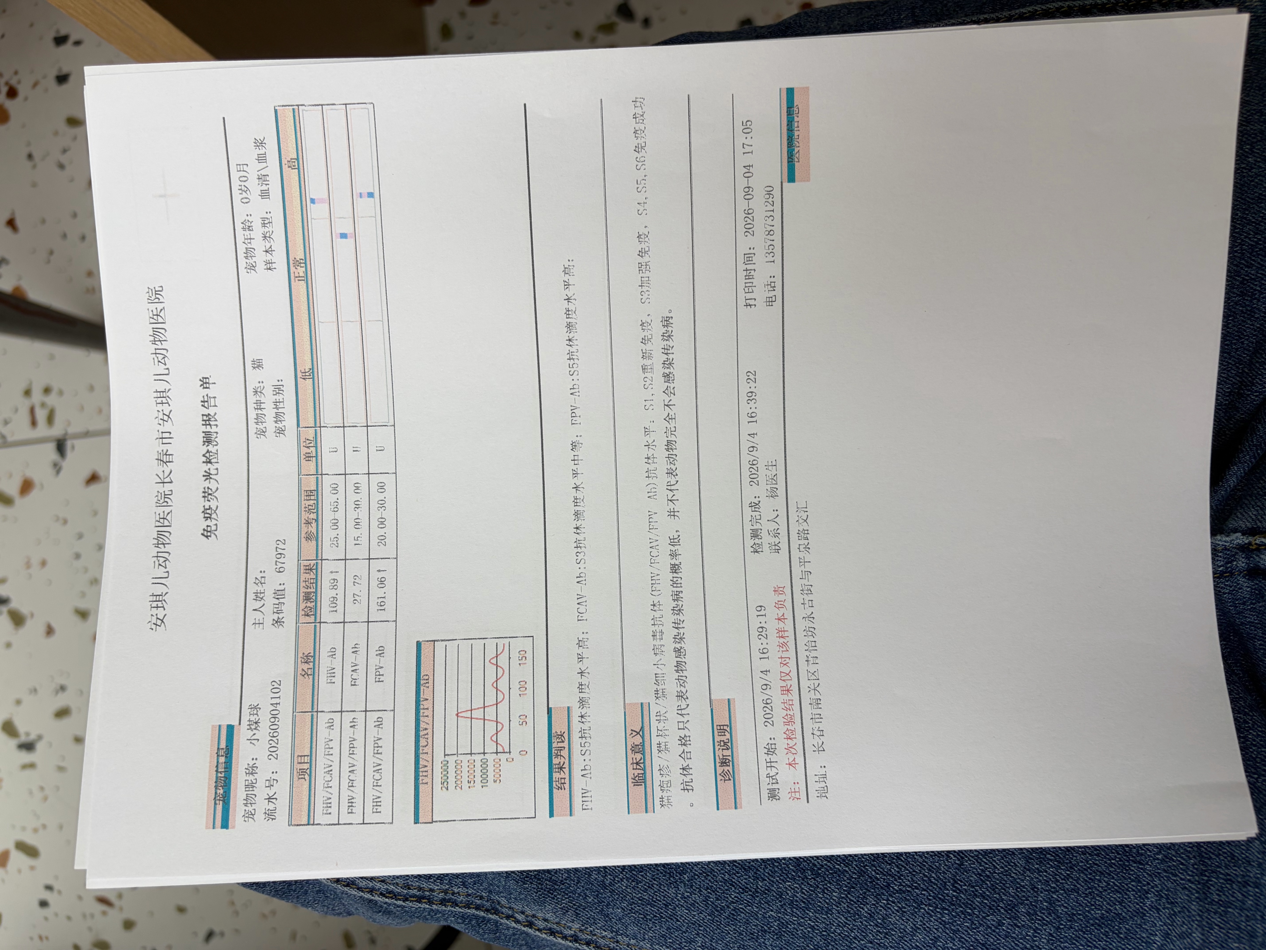 抗体检测合格✅