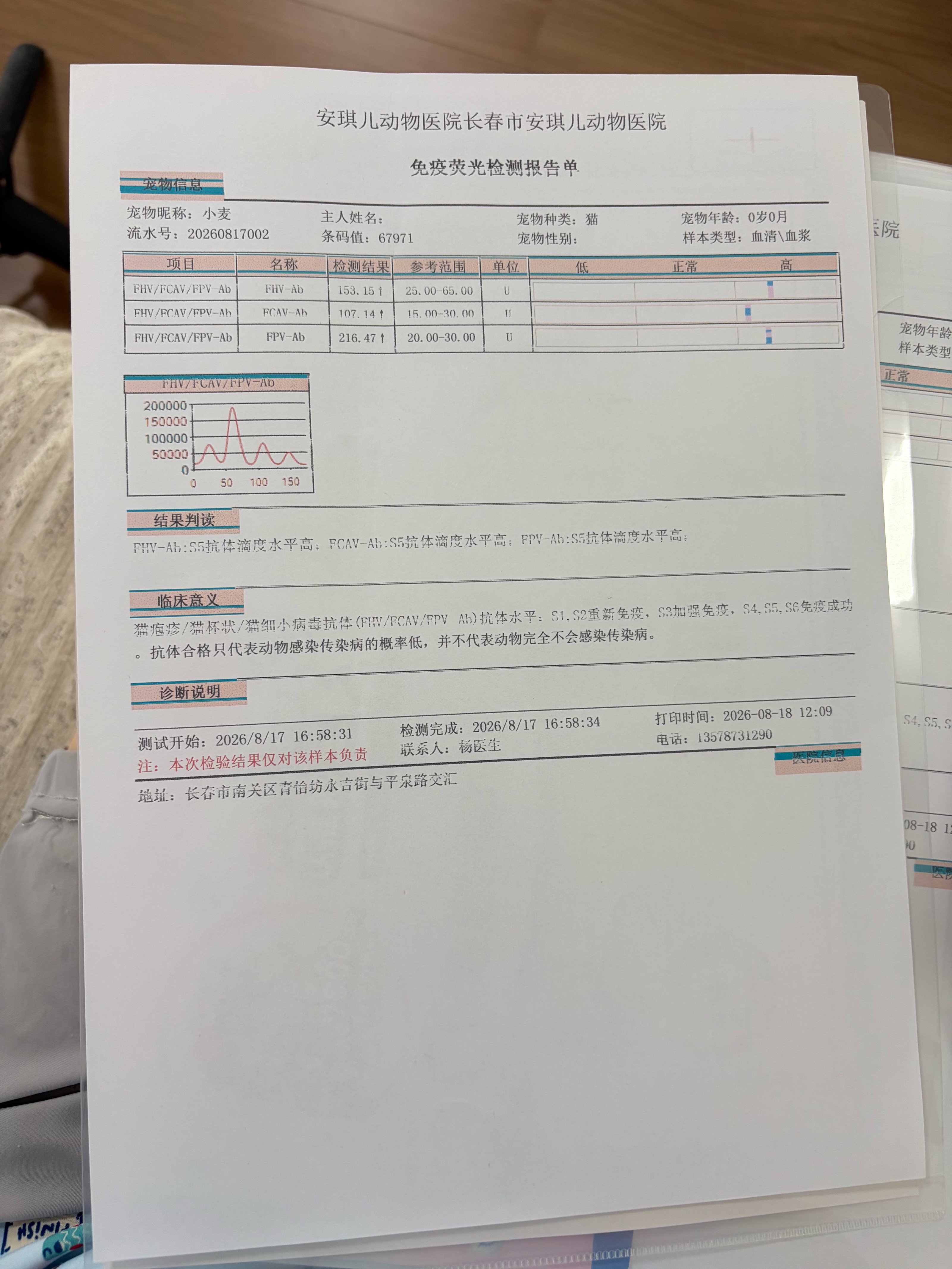 抗体检测合格✅