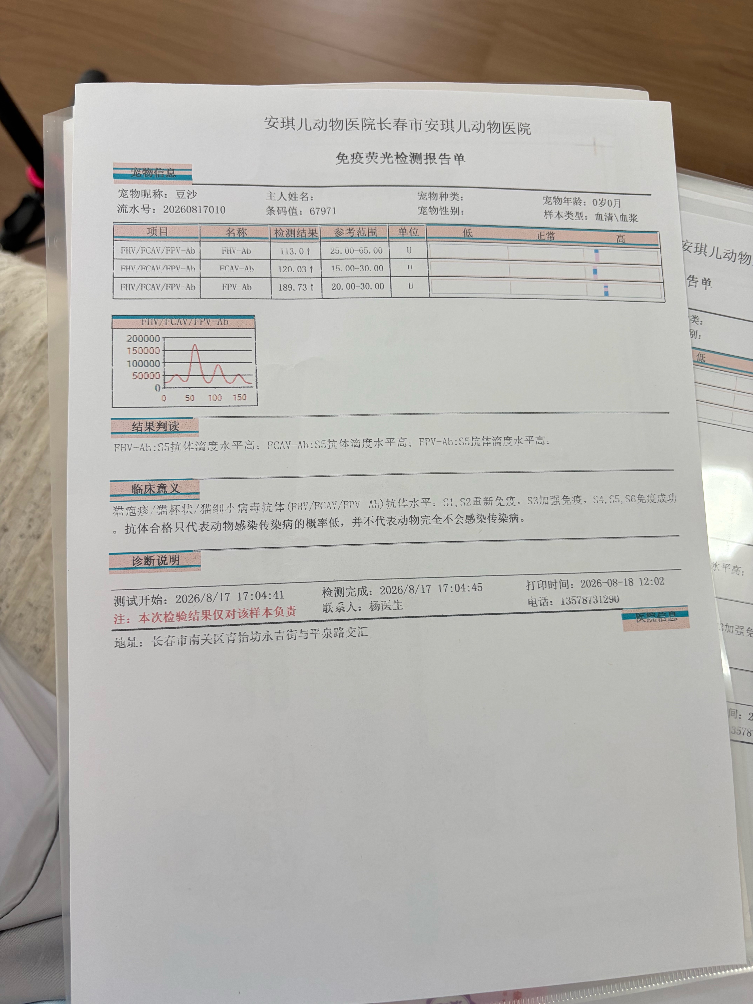 抗体检测合格✅