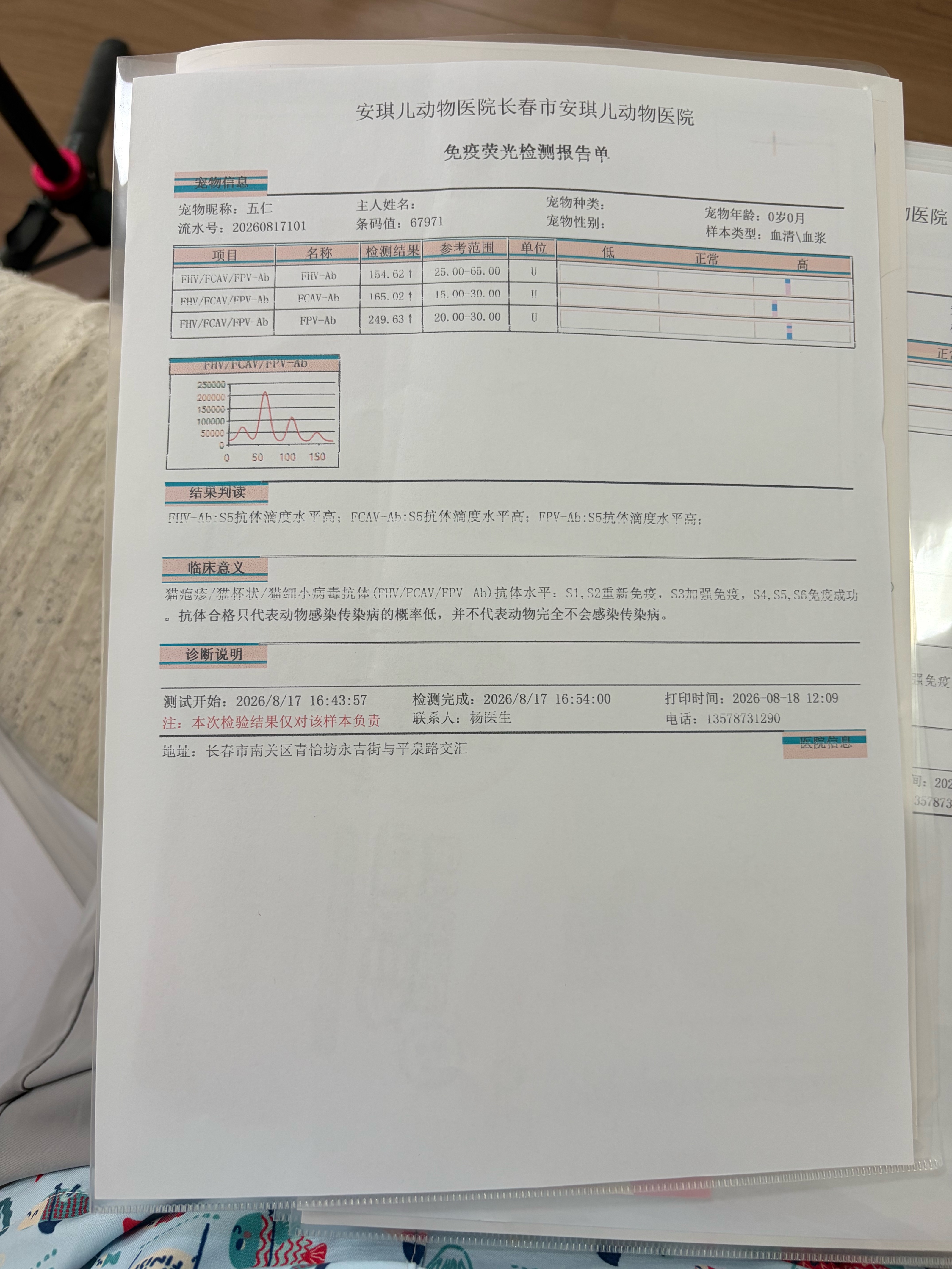 抗体检测合格✅