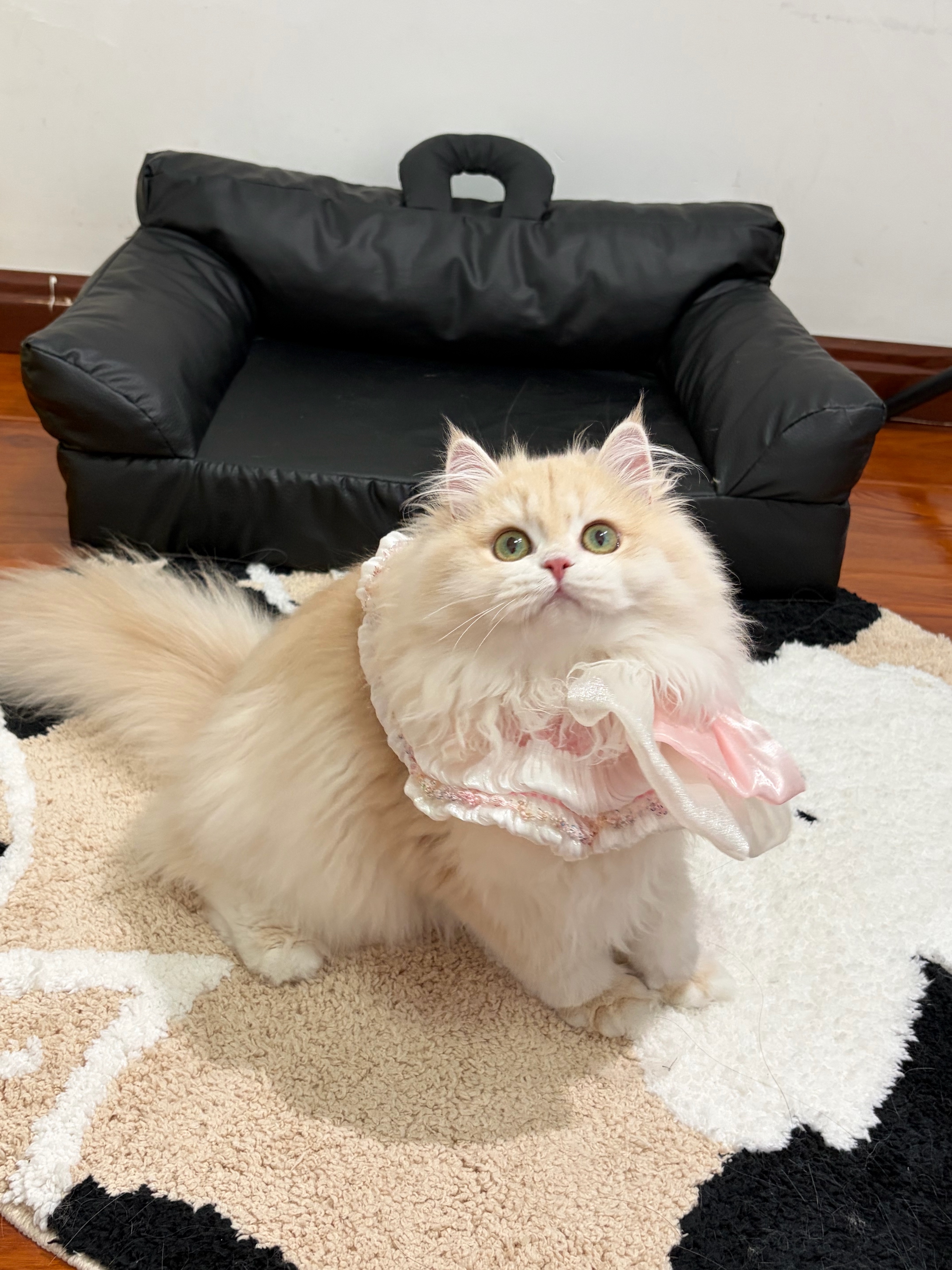 肉松