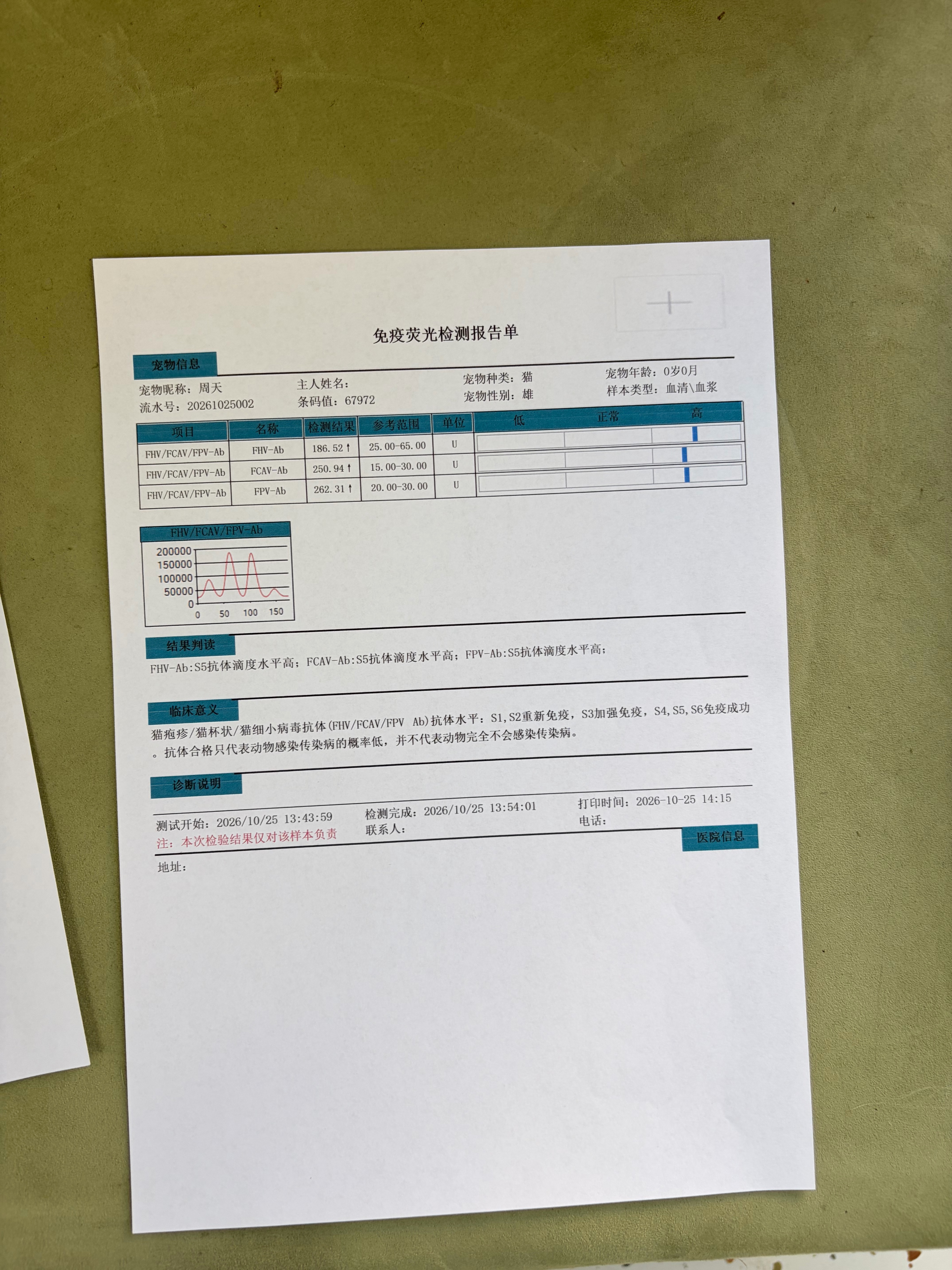 抗体检测合格，心超正常