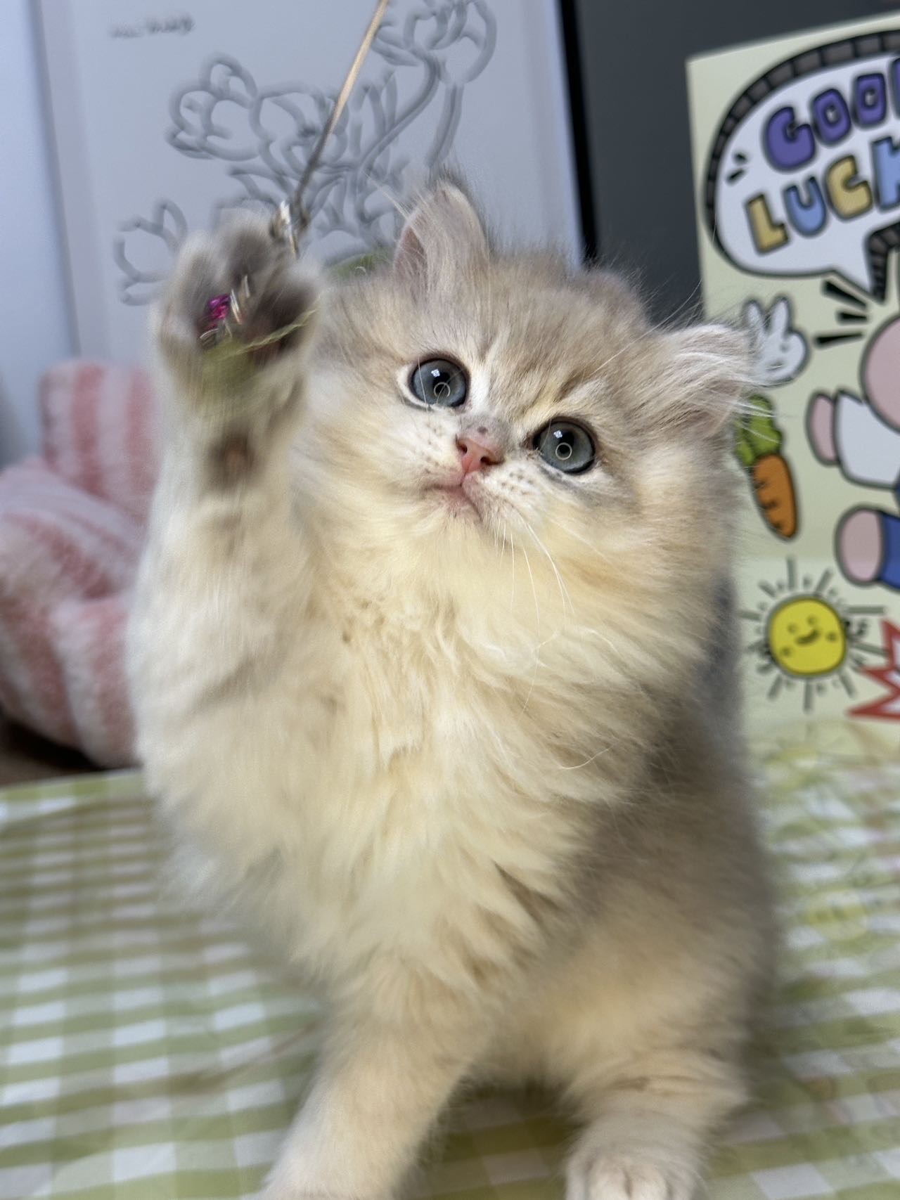 三胖