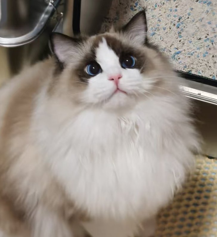 财财