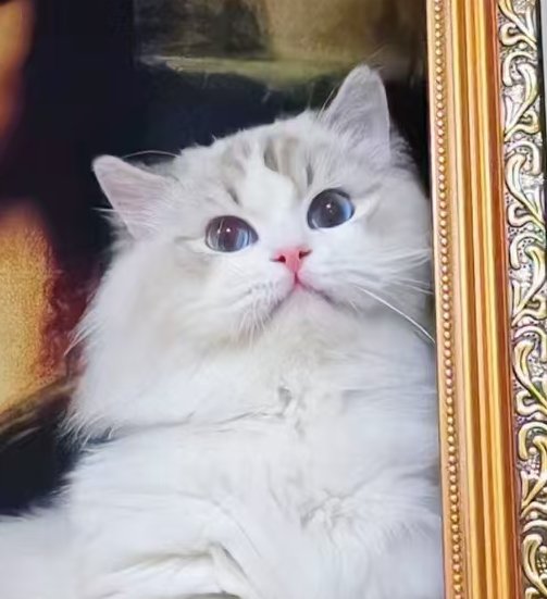 亚索