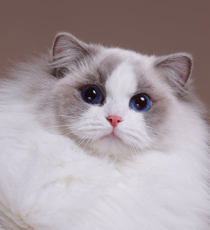 Sweetheart