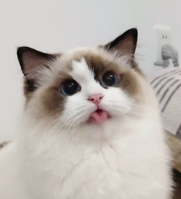 绾绾