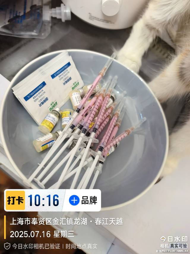 炎炎