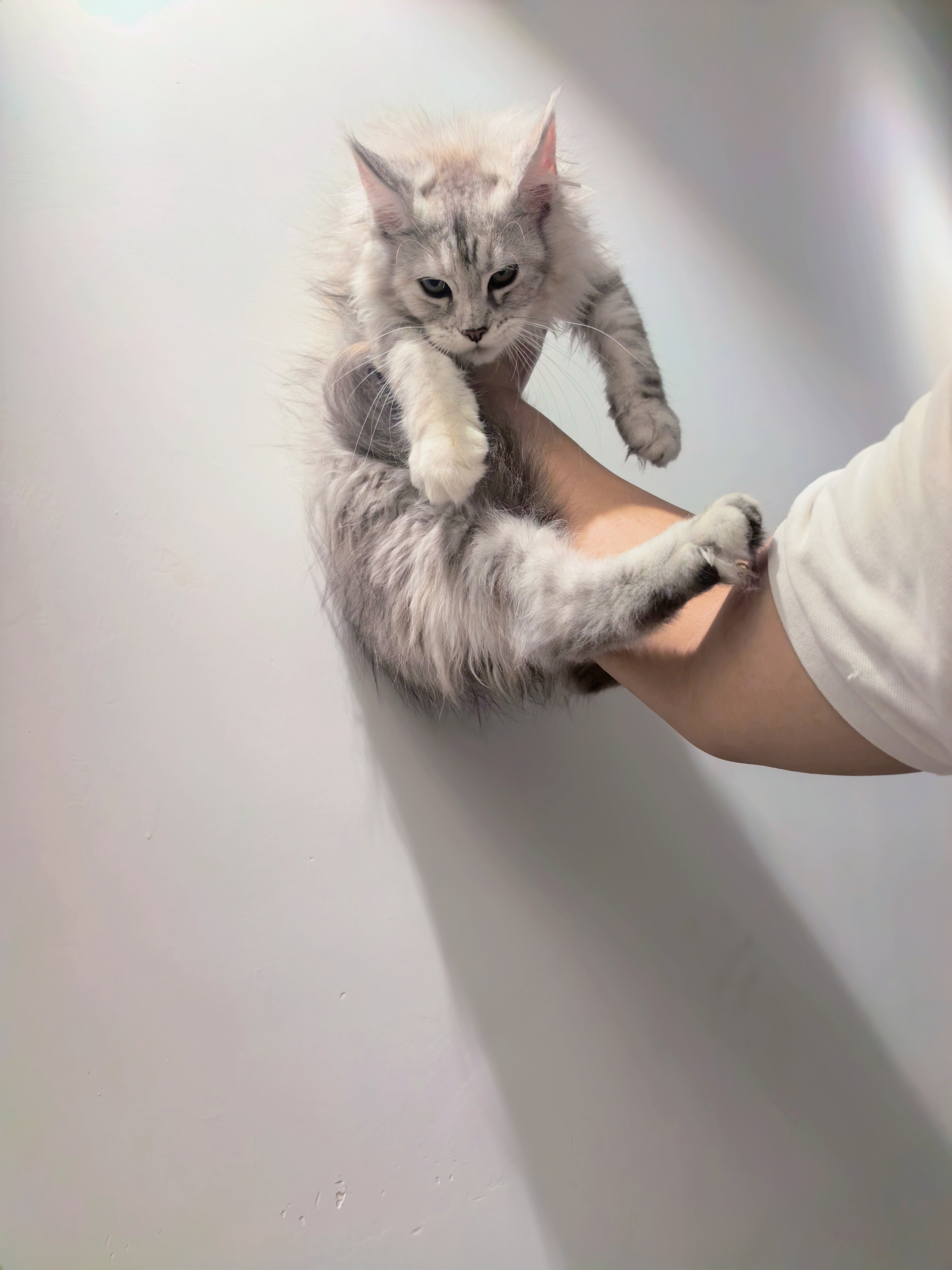 银三花