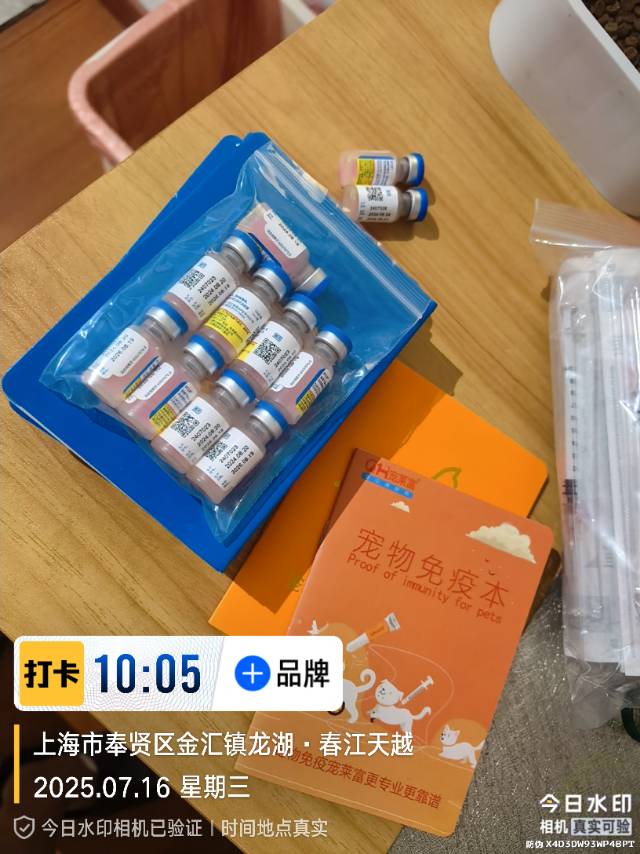 炎炎