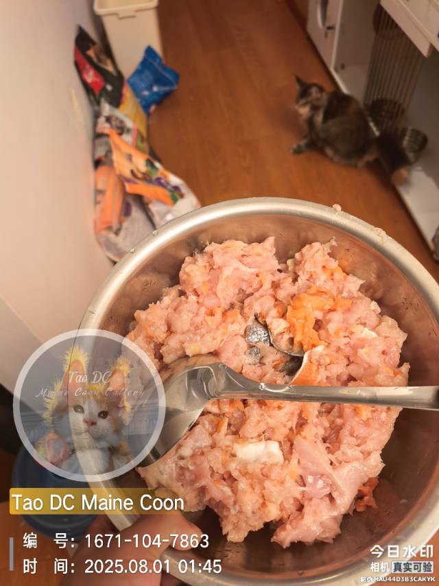 三文鱼+鸡