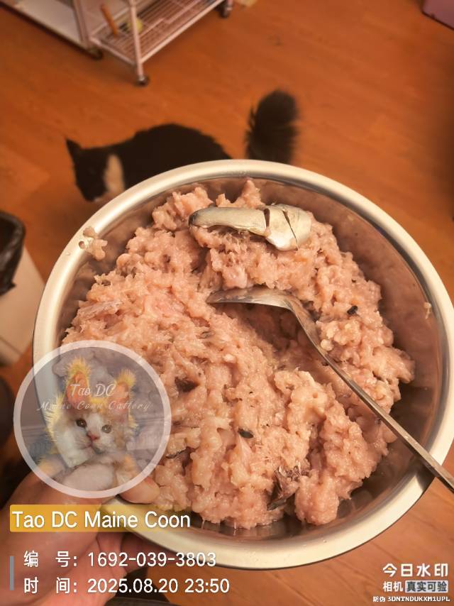 青花鱼，鸡