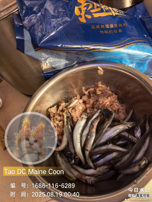 青花鱼，多春鱼